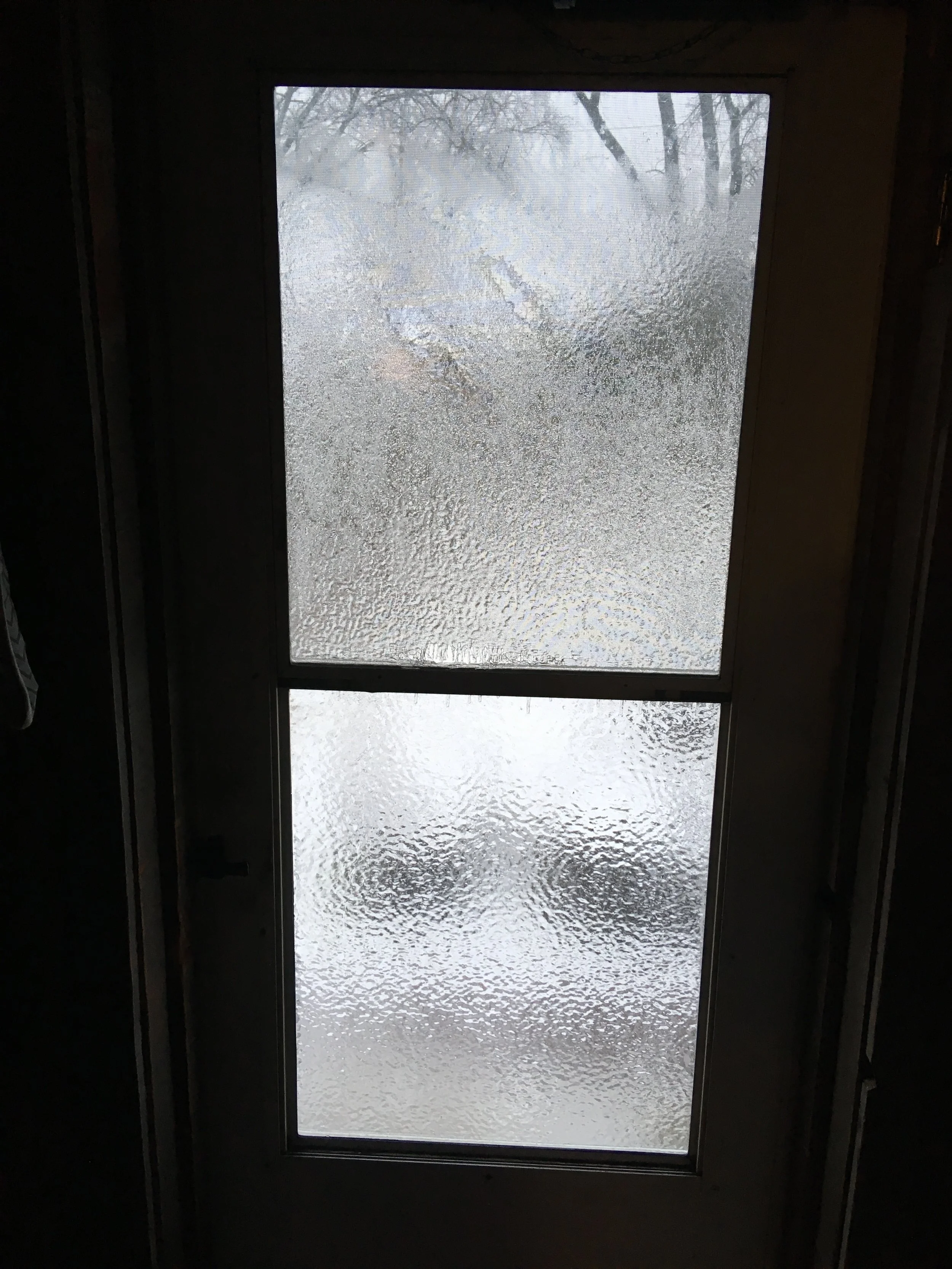 Ice on back door