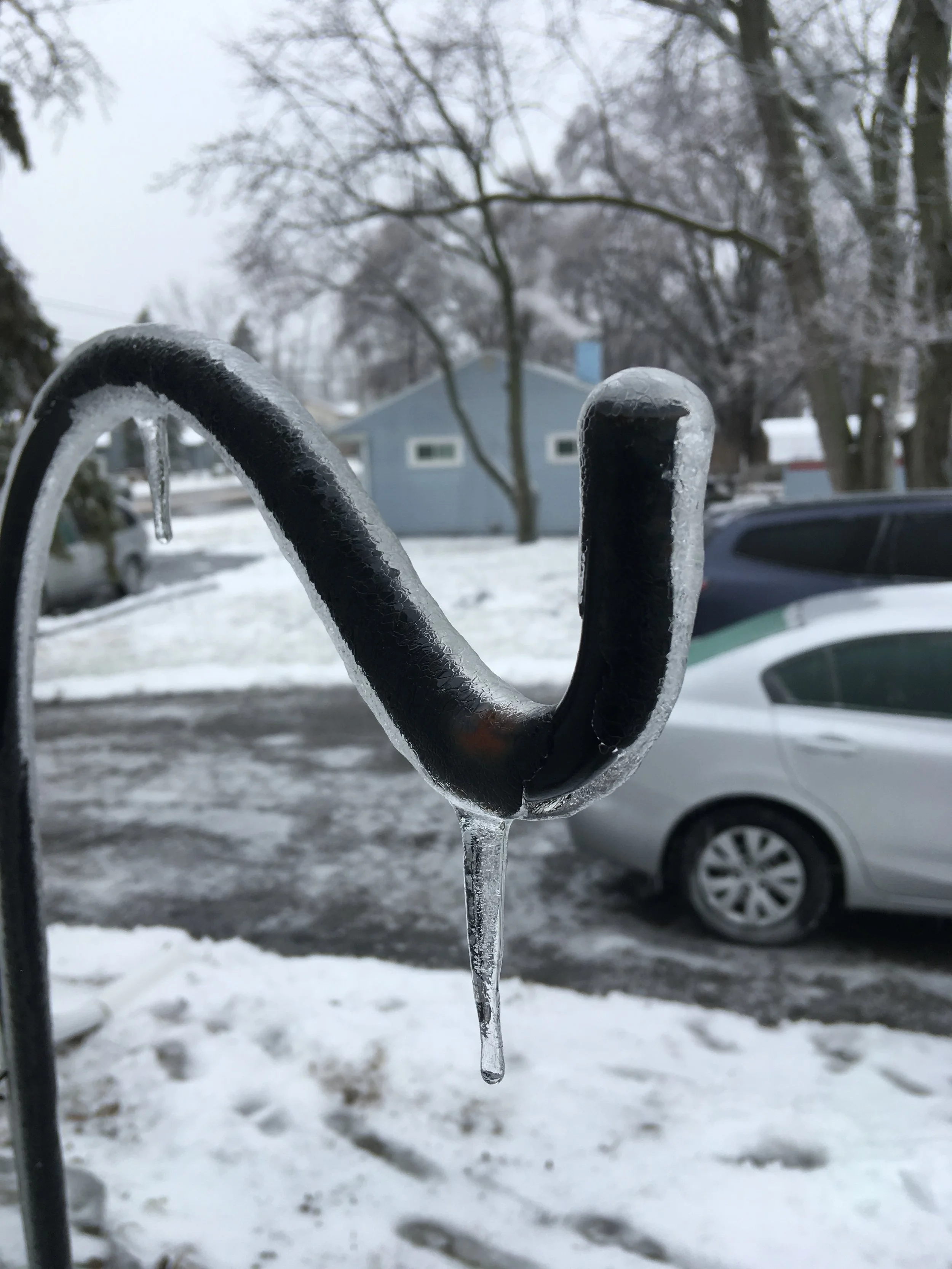 Ice on plant hanger