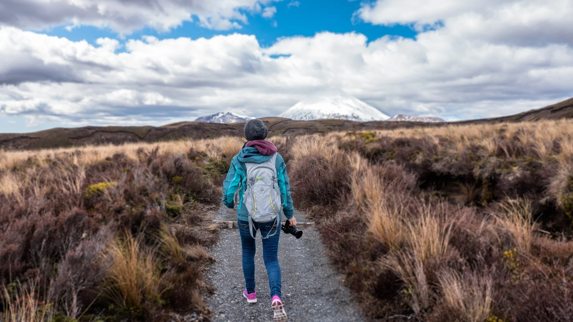Image by Free-Photos from Pixabay