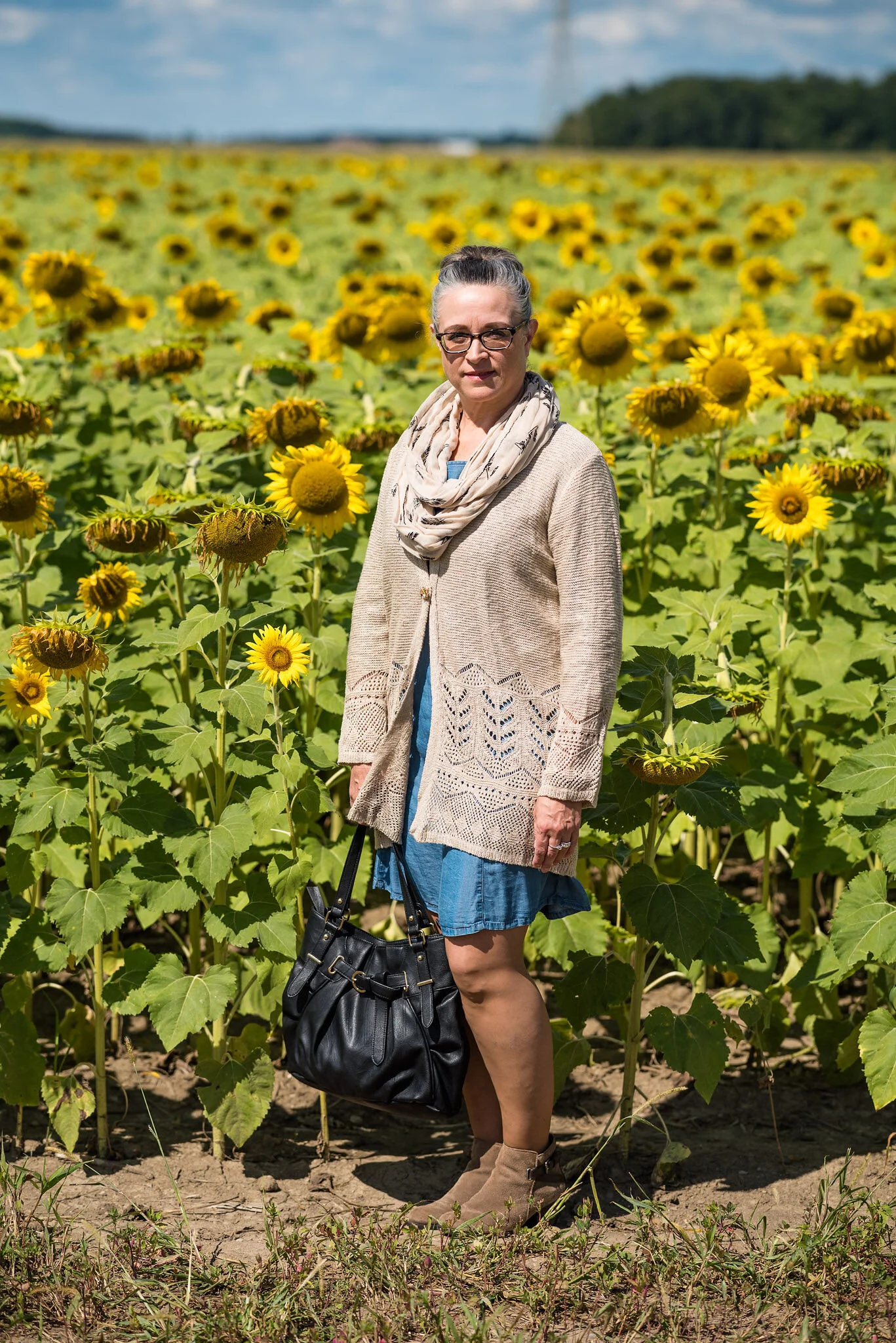 sunsflowerwithscarf-1.jpg