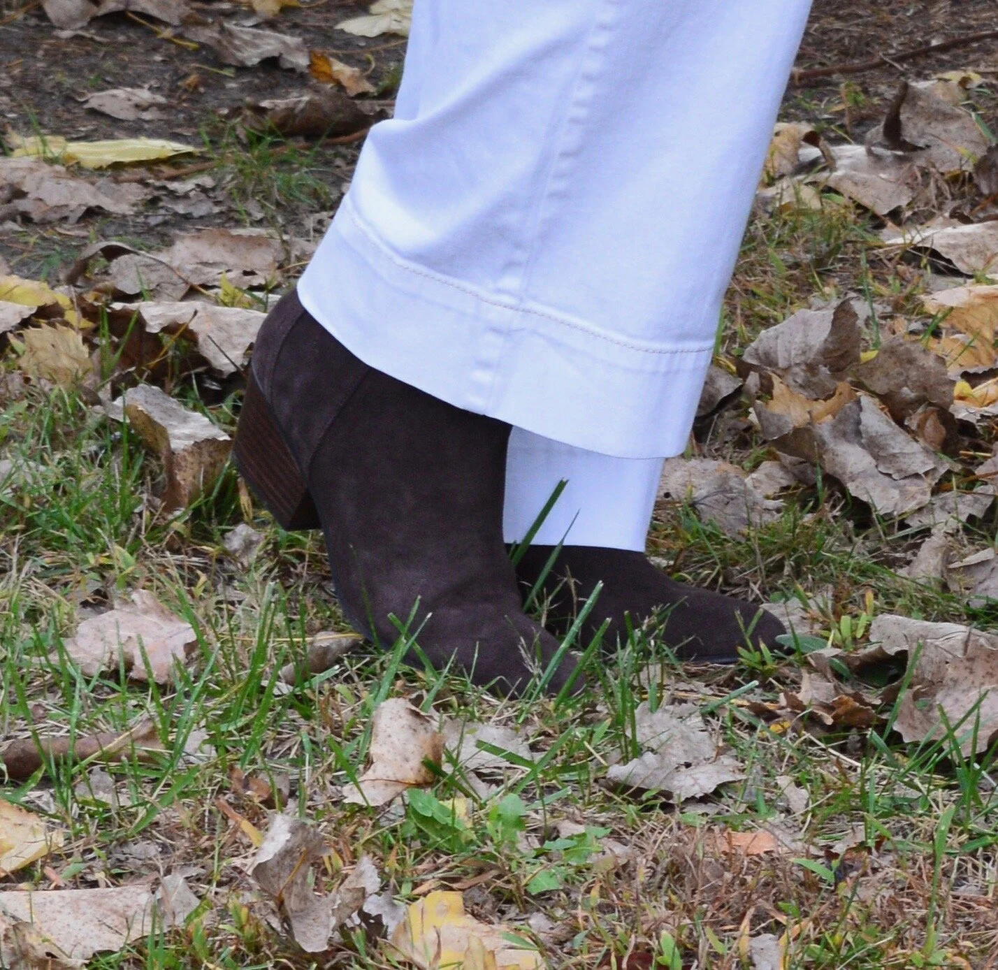 Color Pay - fall mix