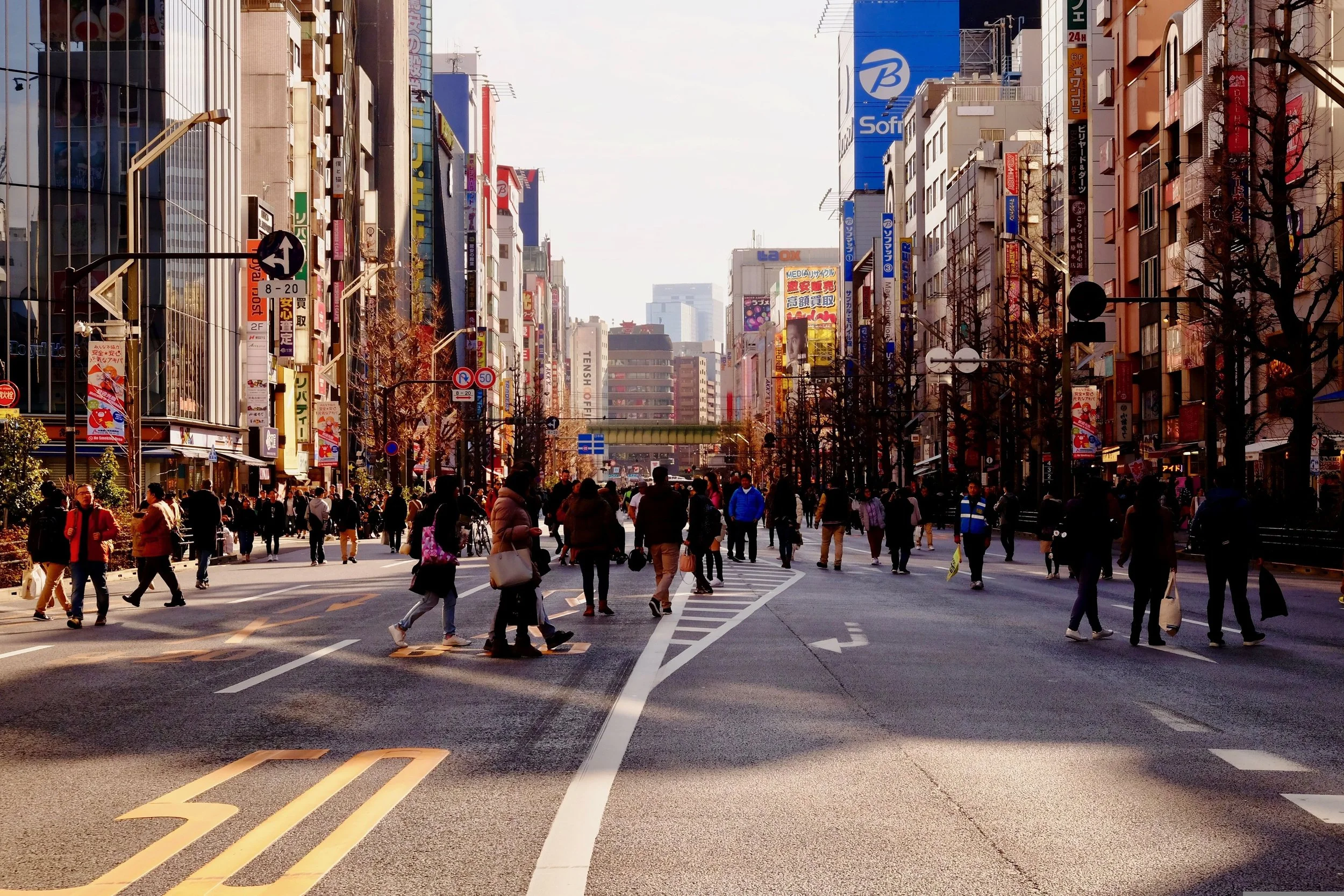 t_watanabe-city-3980447.jpg