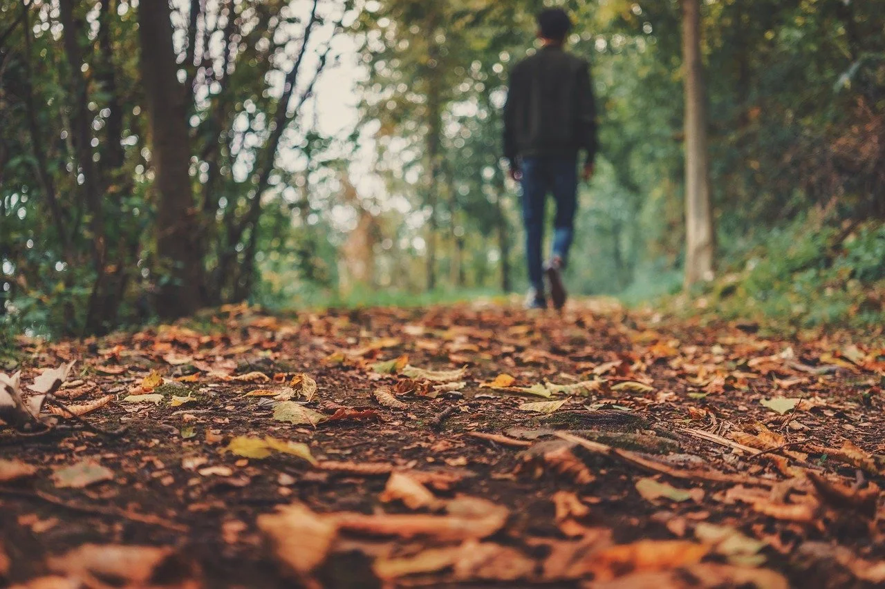 autumn-1869160_1280.jpg