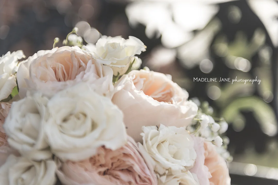 websitepreviews-54.jpg