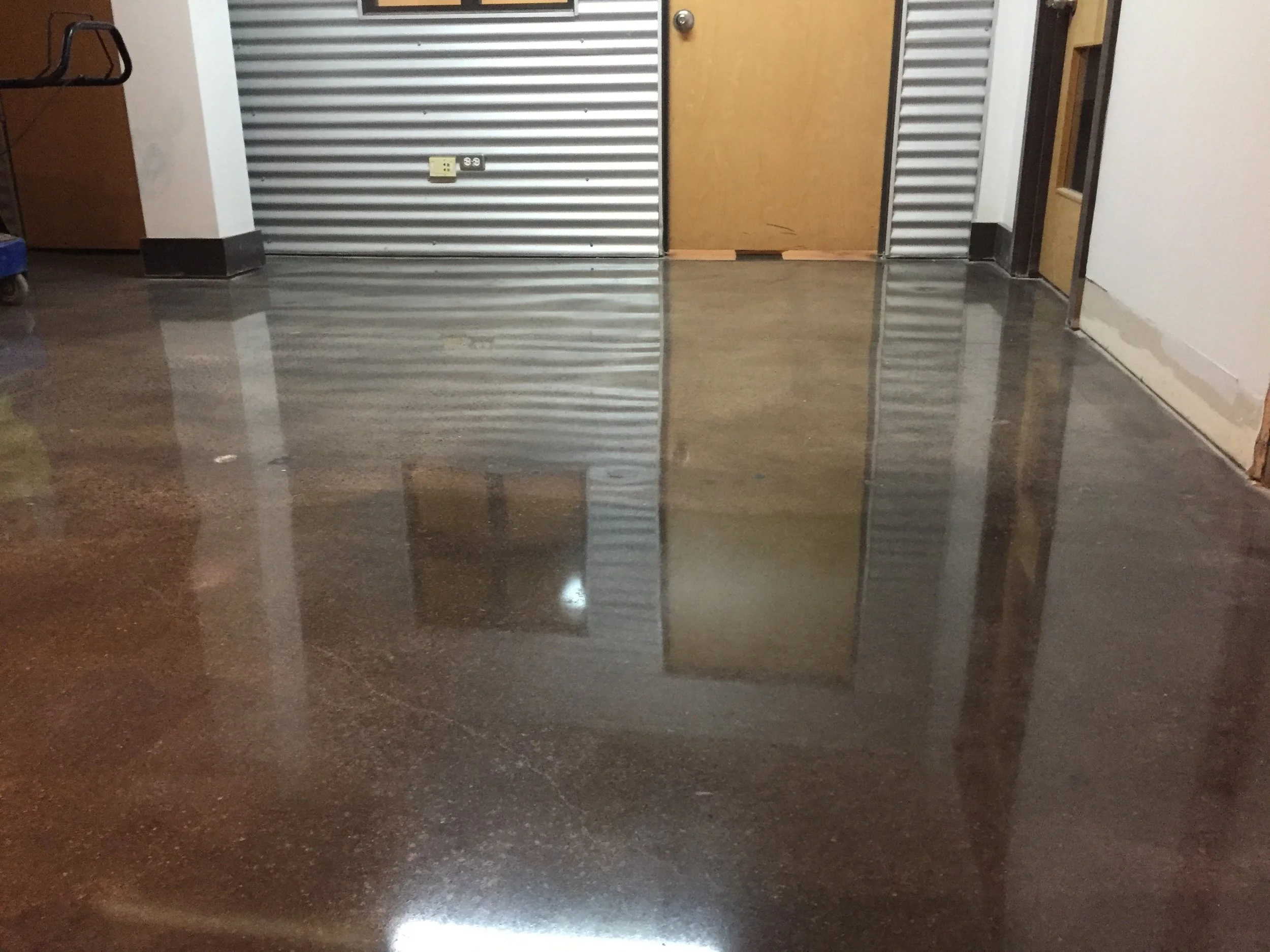 800 Grit with black dye and guard