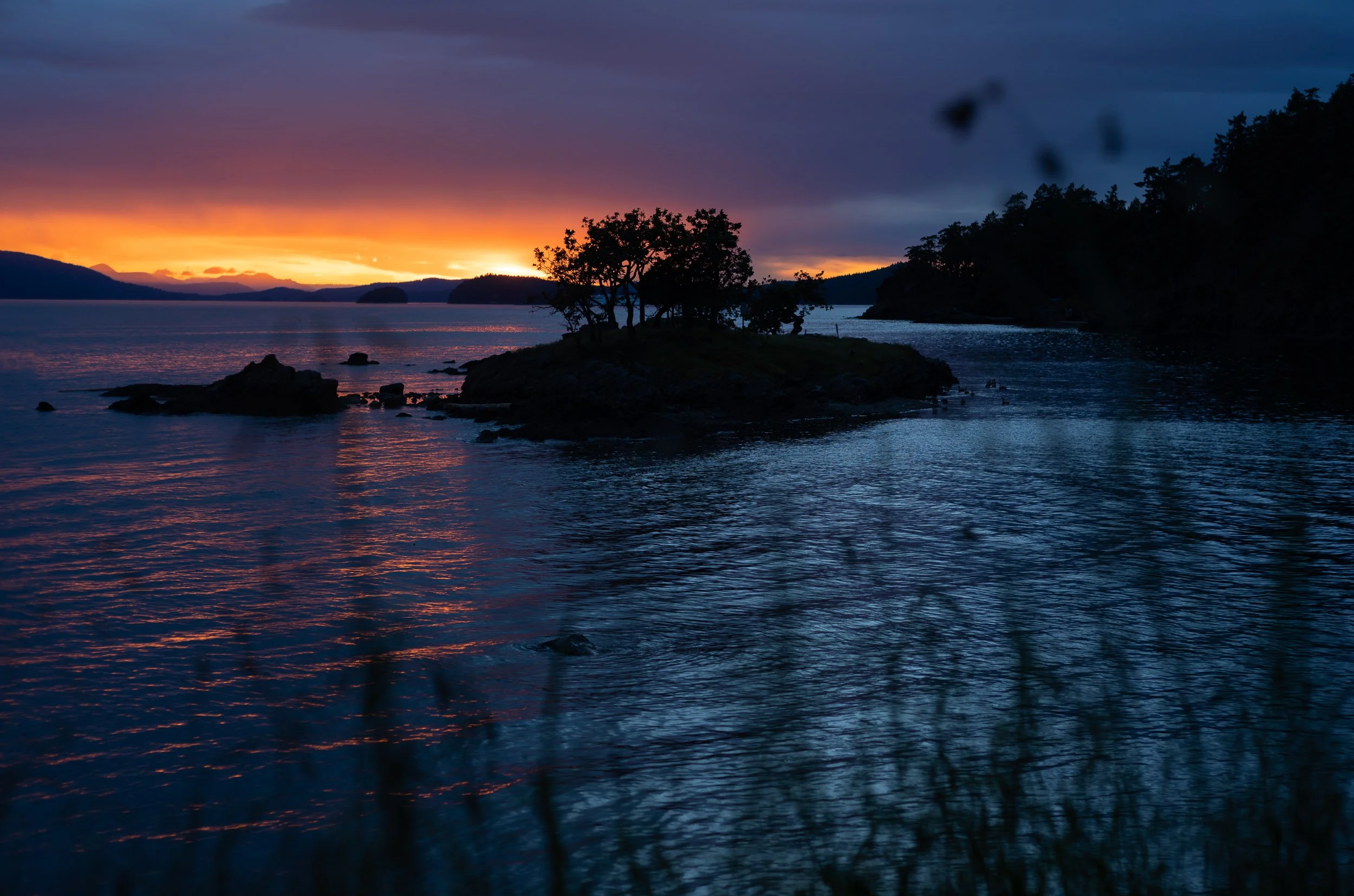 pender island 2022.jpg