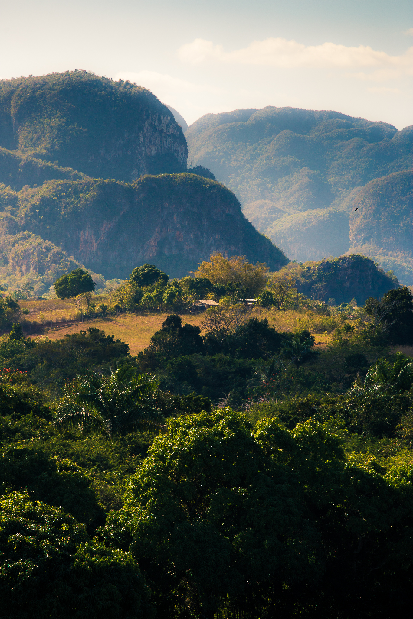 Viñales