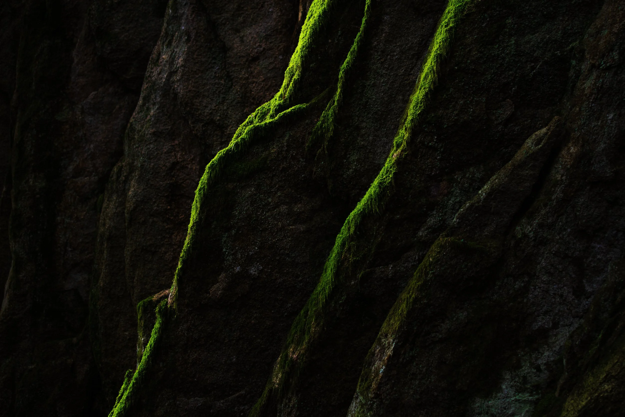 Squamish 2022-3.jpg