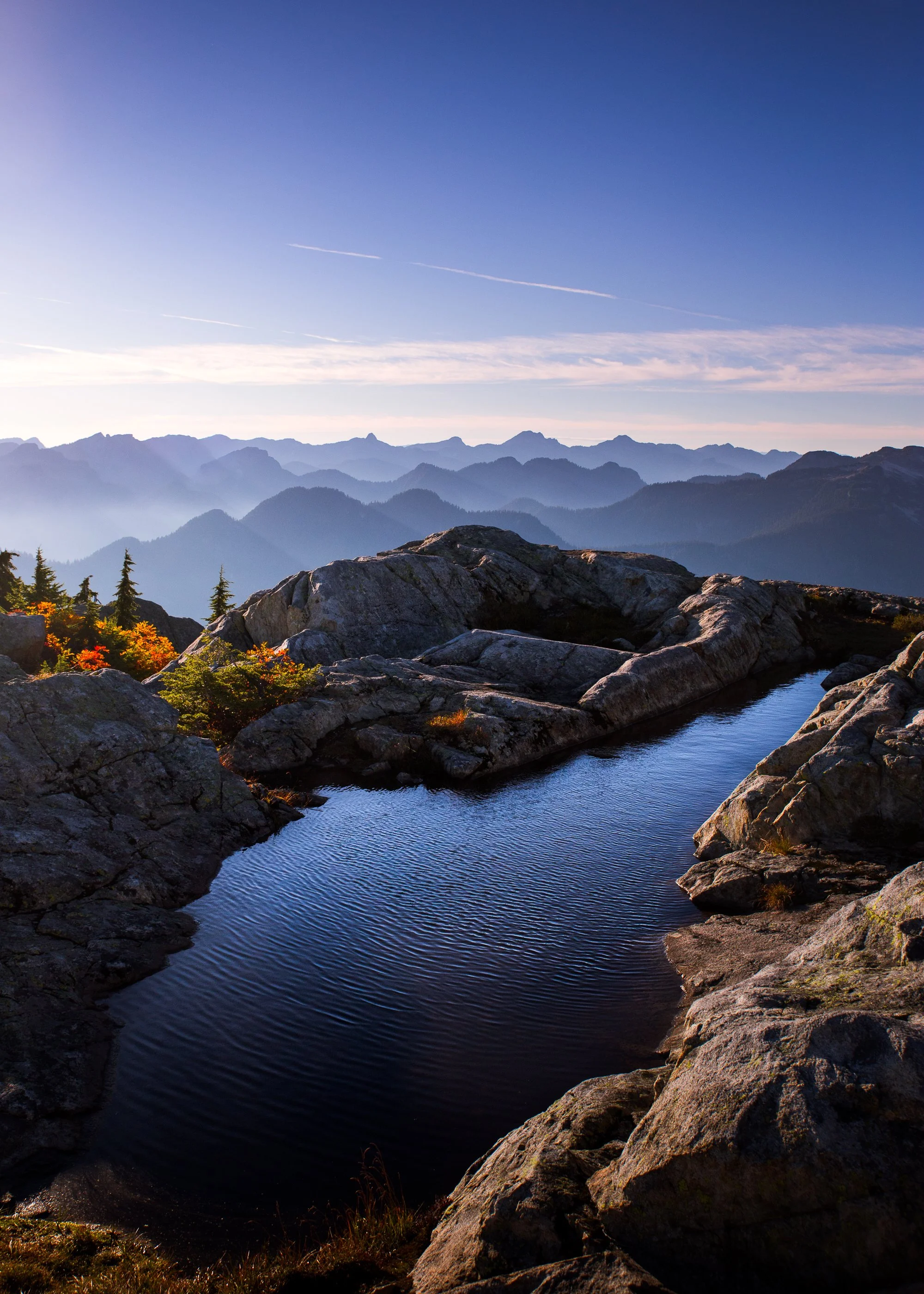 Alpine Spring - web.jpg