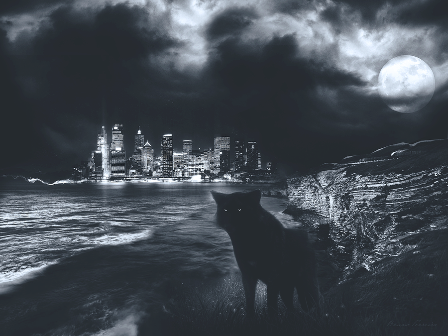 wolf_surrealism_by_bruhhm-d5lcyrw.png