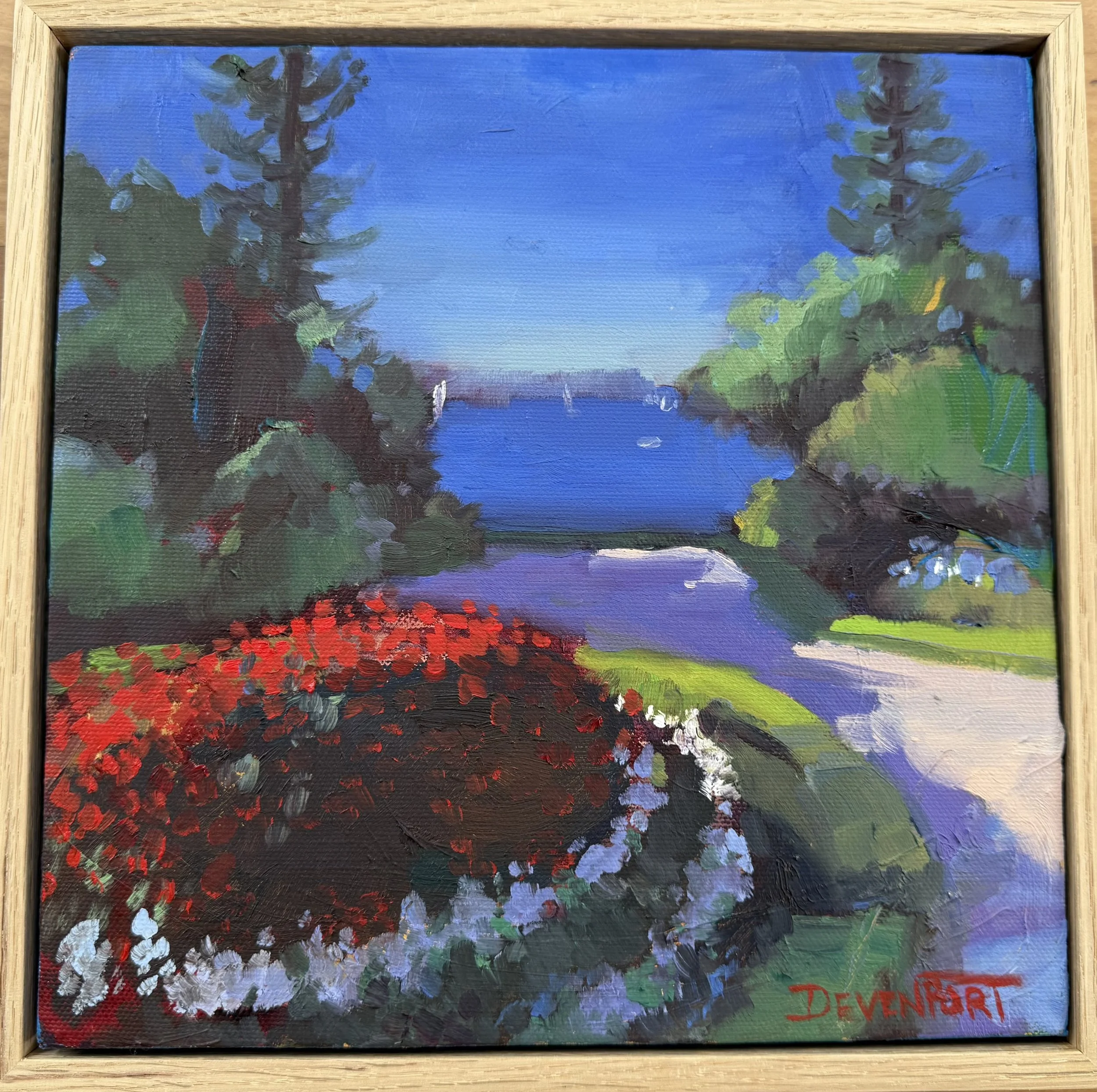 Sydney Harbour from Government House