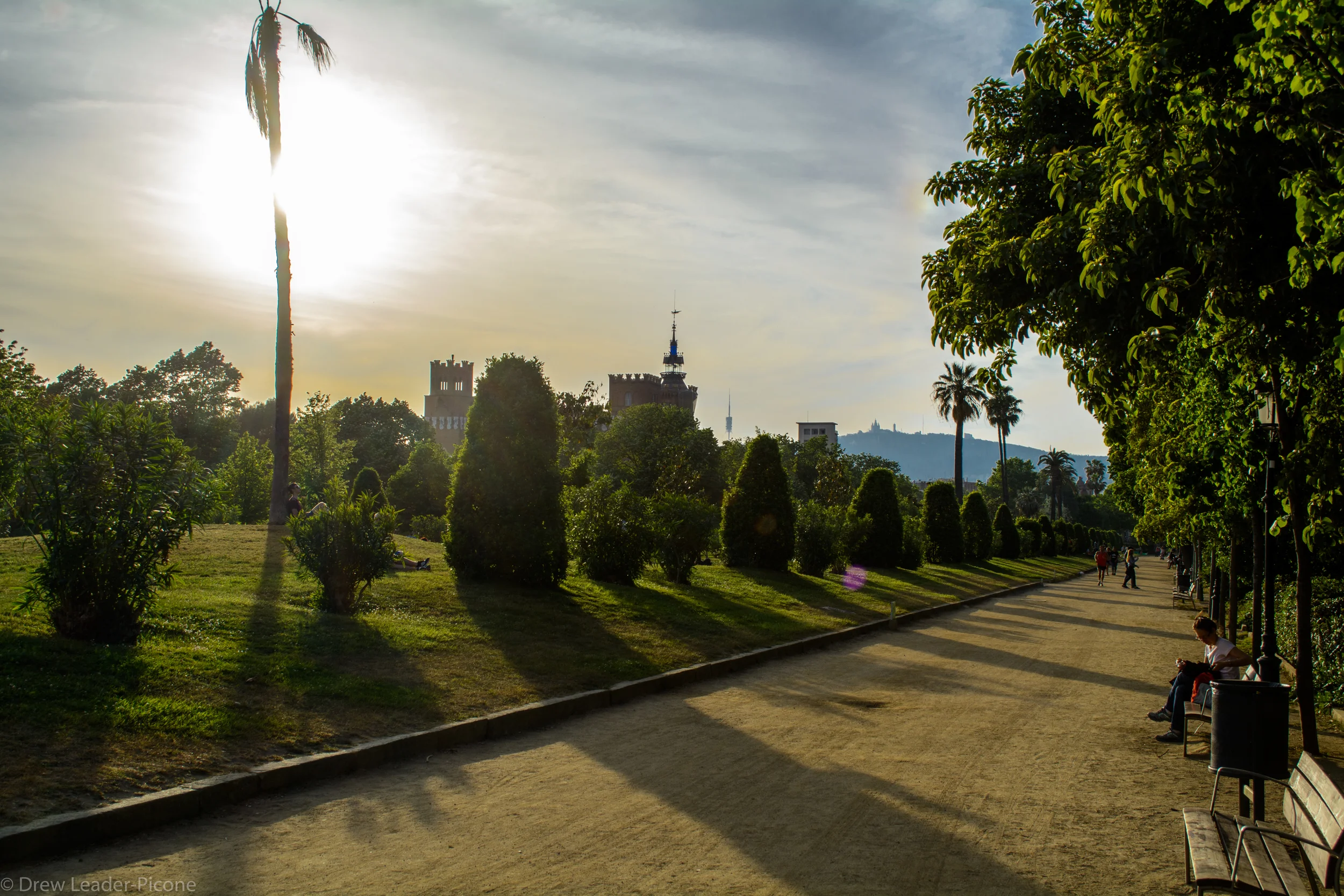 DSC_0214.jpg
