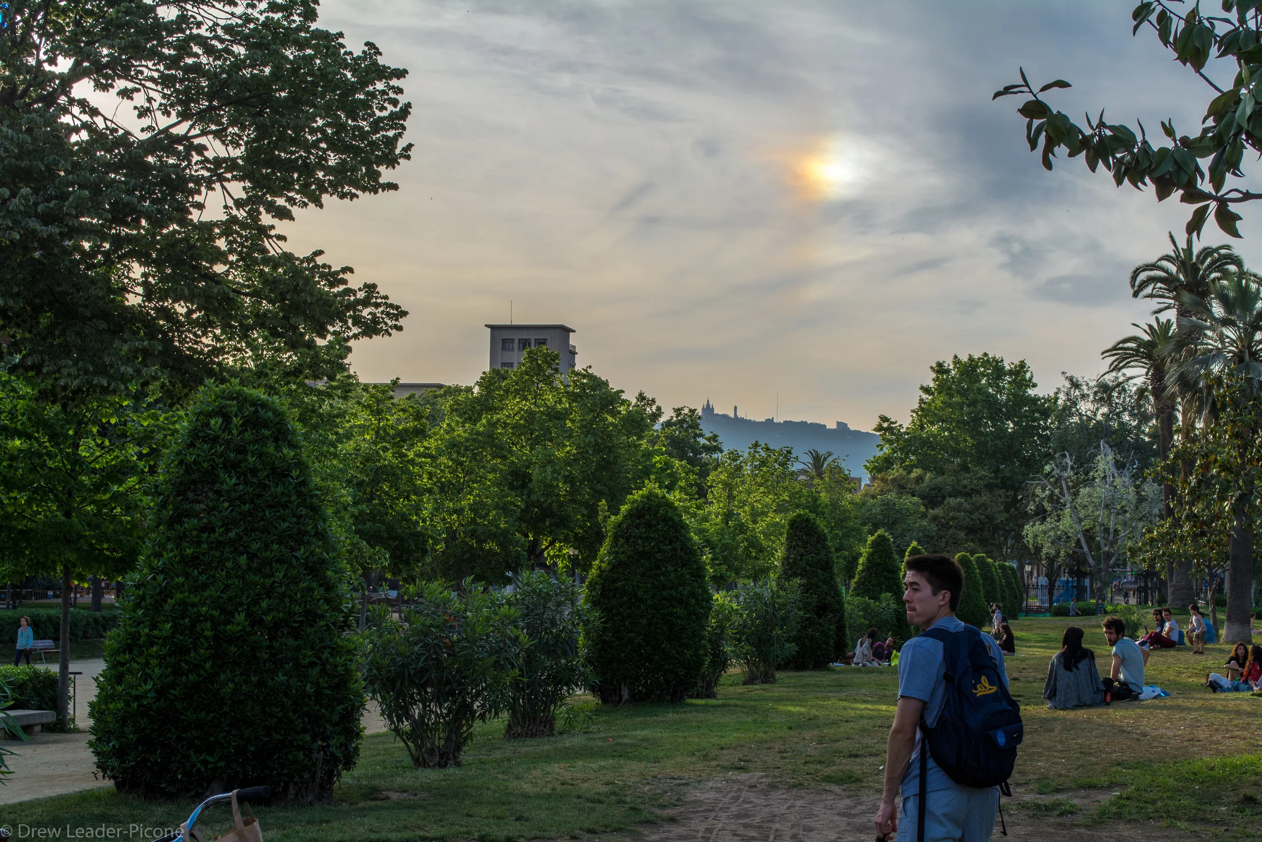 DSC_0224.jpg