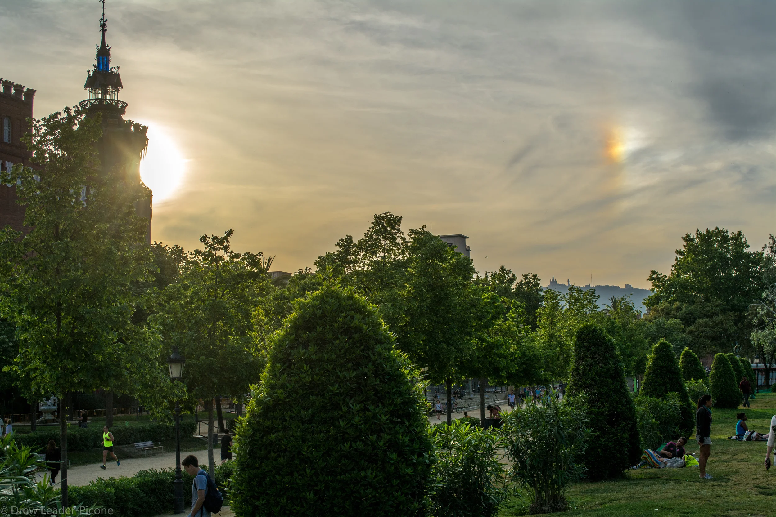 DSC_0234.jpg