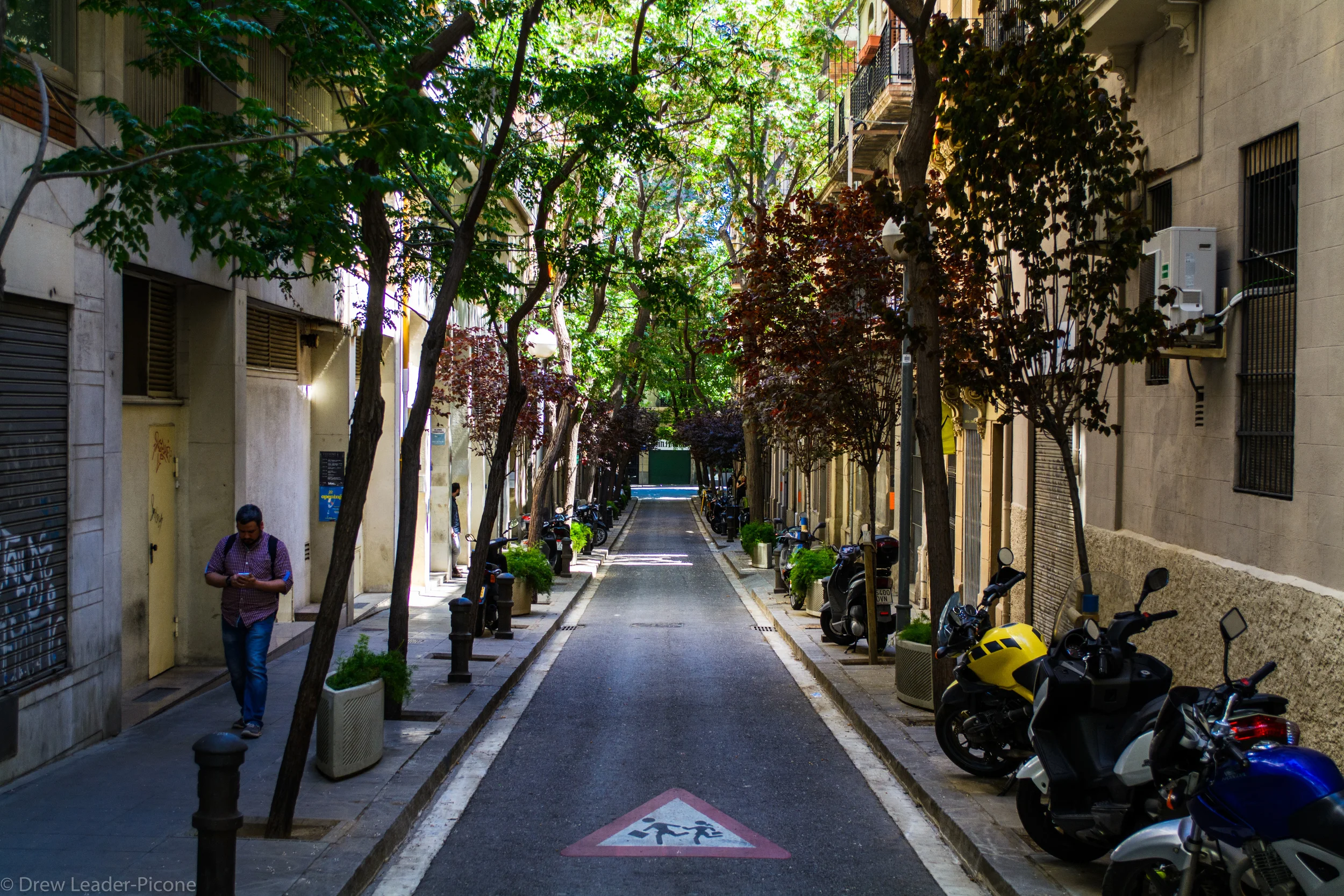 DSC_0506.jpg