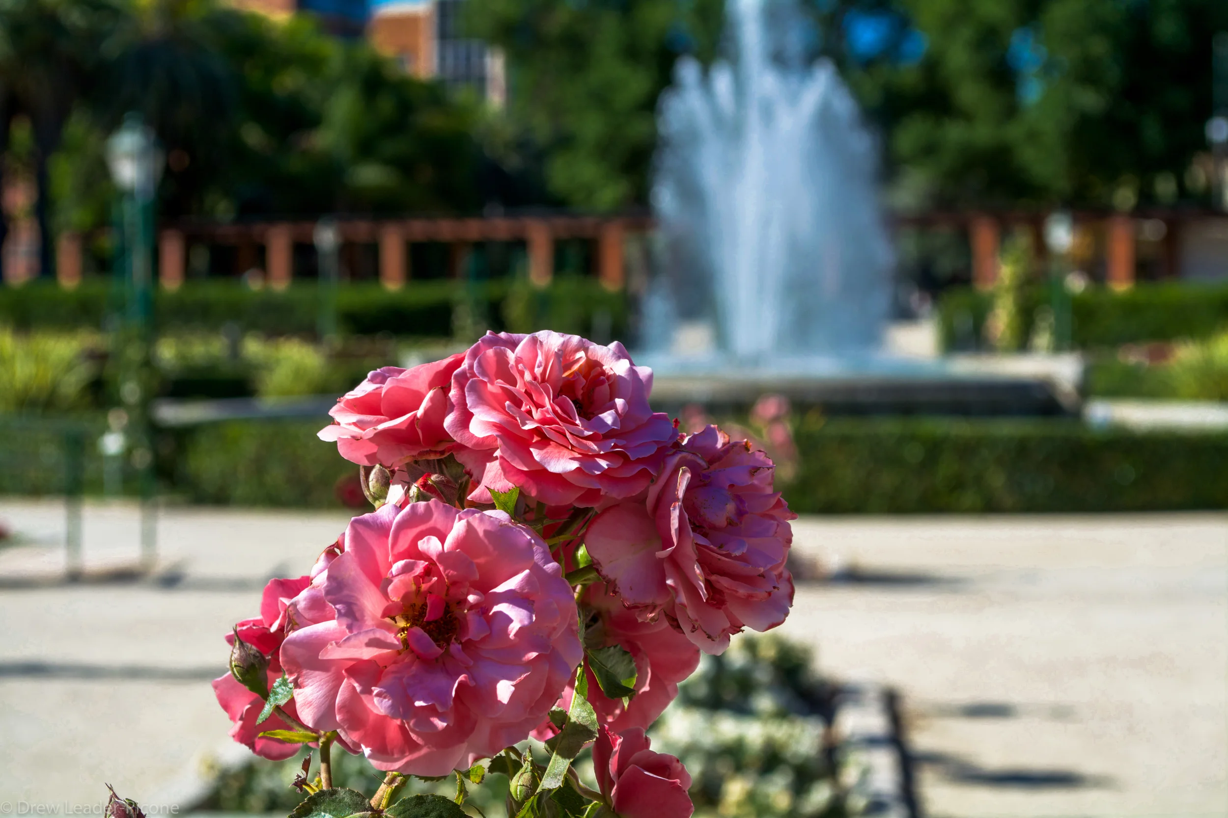 DSC_0020.jpg