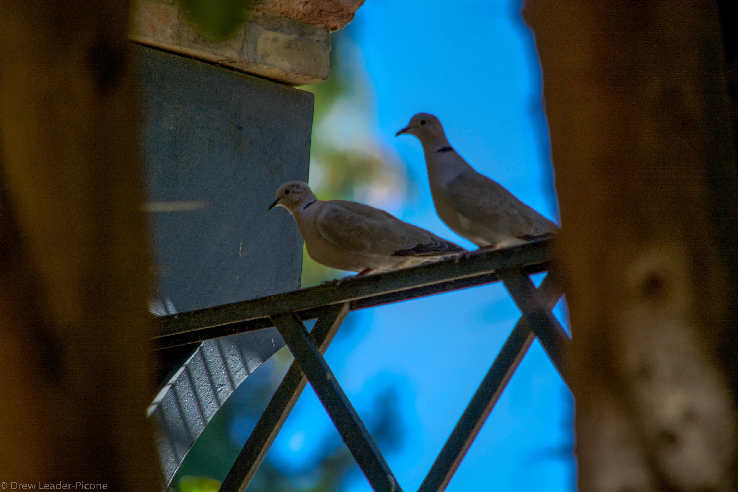 DSC_0114.jpg