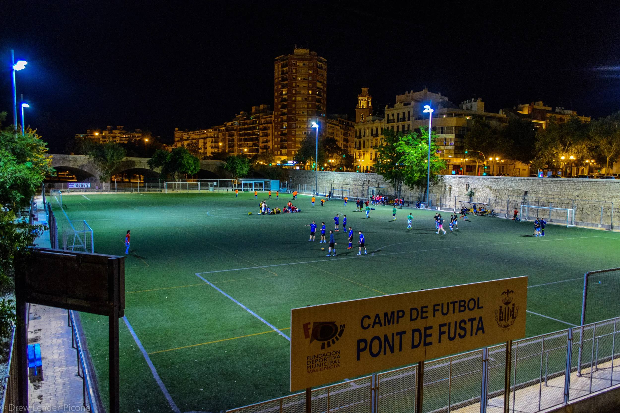 DSC_0250.jpg