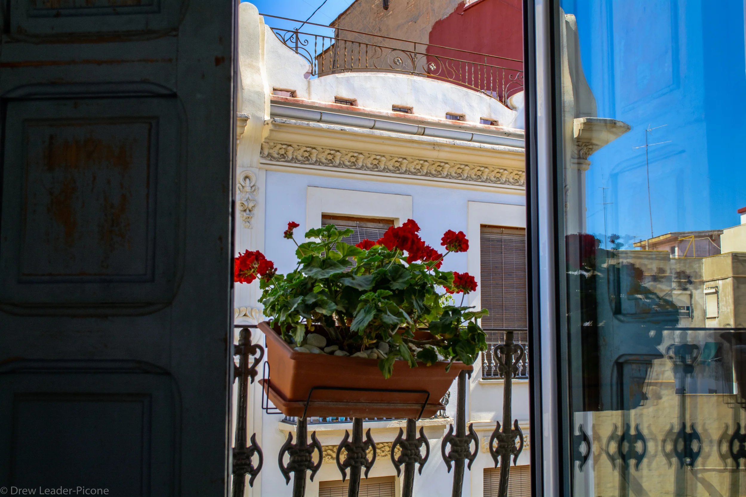 DSC_0259.jpg