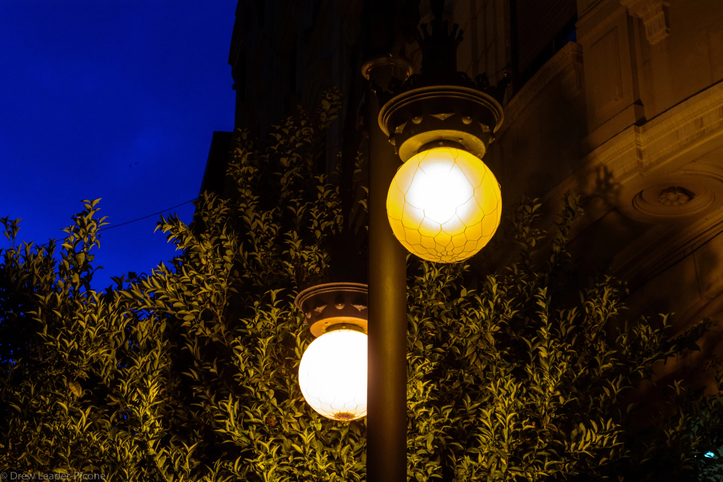 DSC_0871.jpg