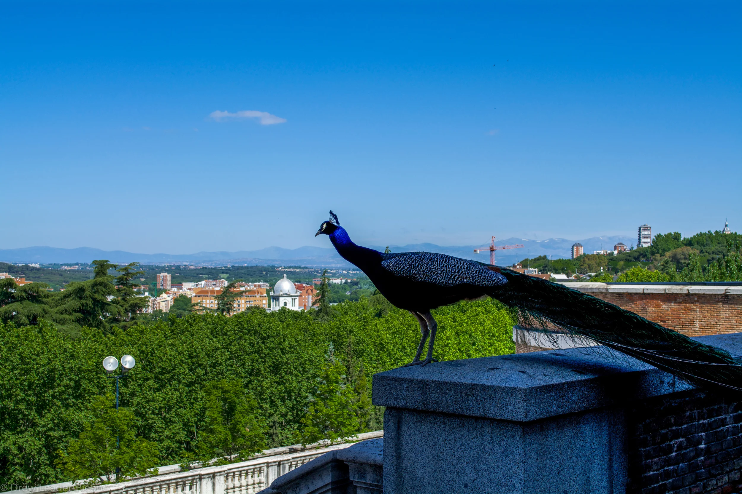DSC_0159.jpg