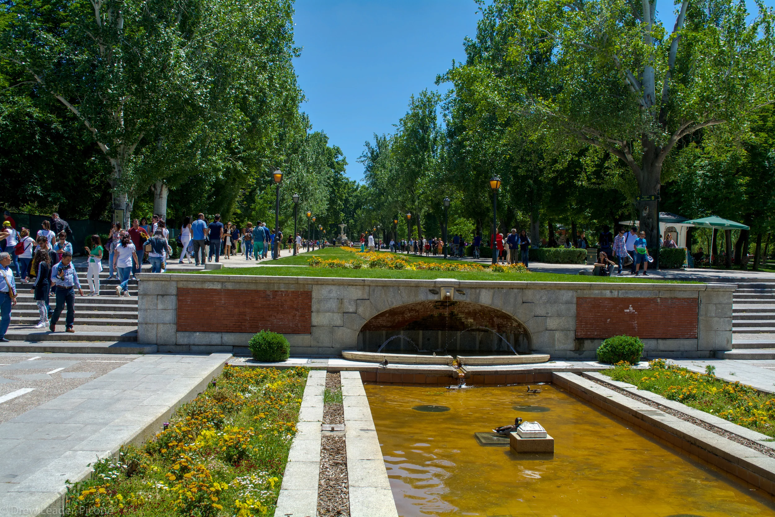 DSC_0183.jpg