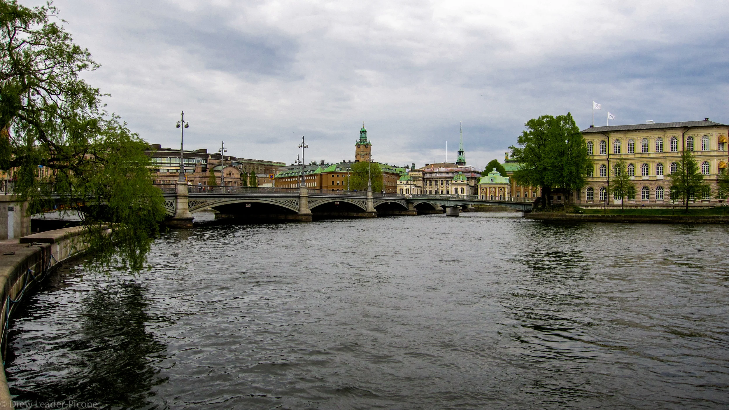 IMG_6357.jpg