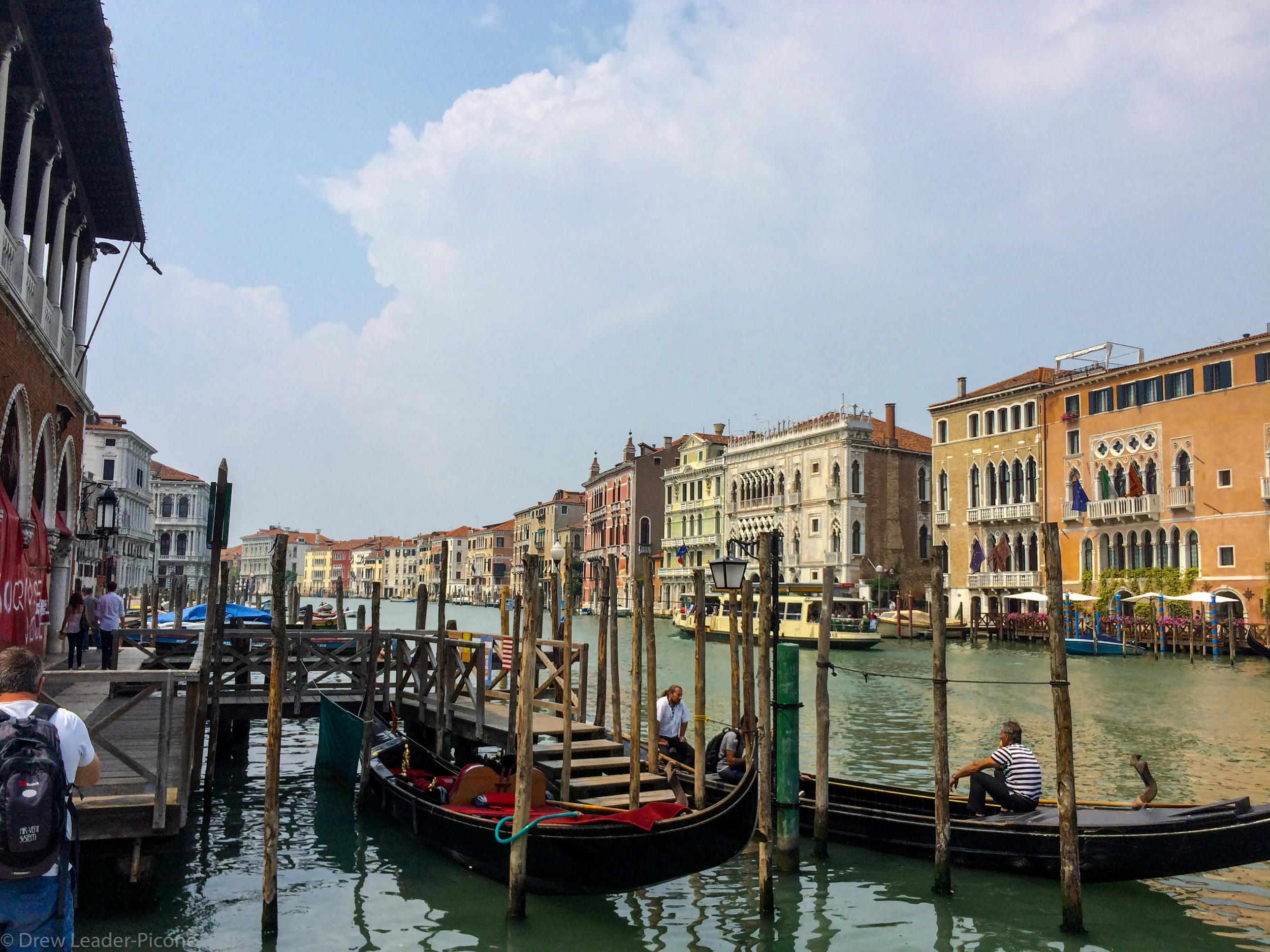 IMG_8392.jpg