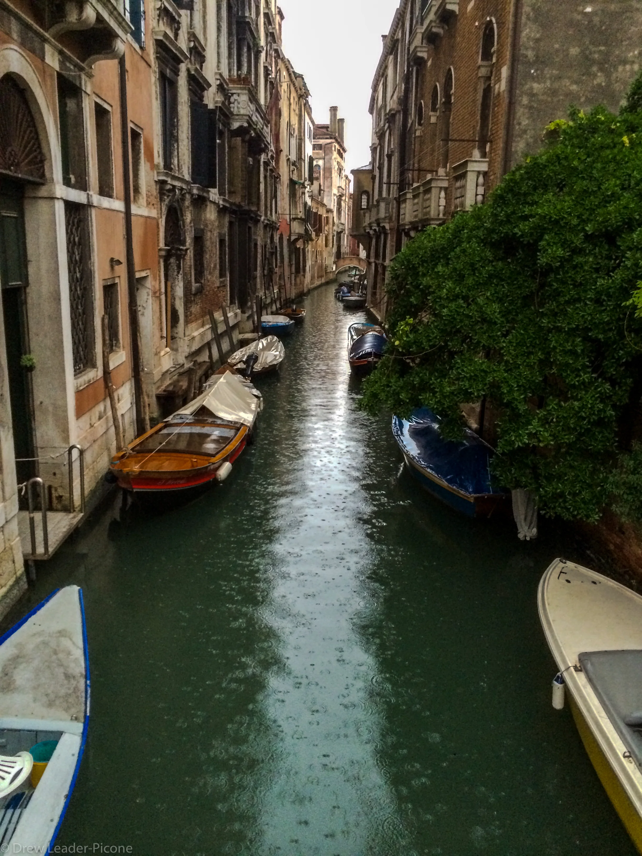 IMG_8478.jpg