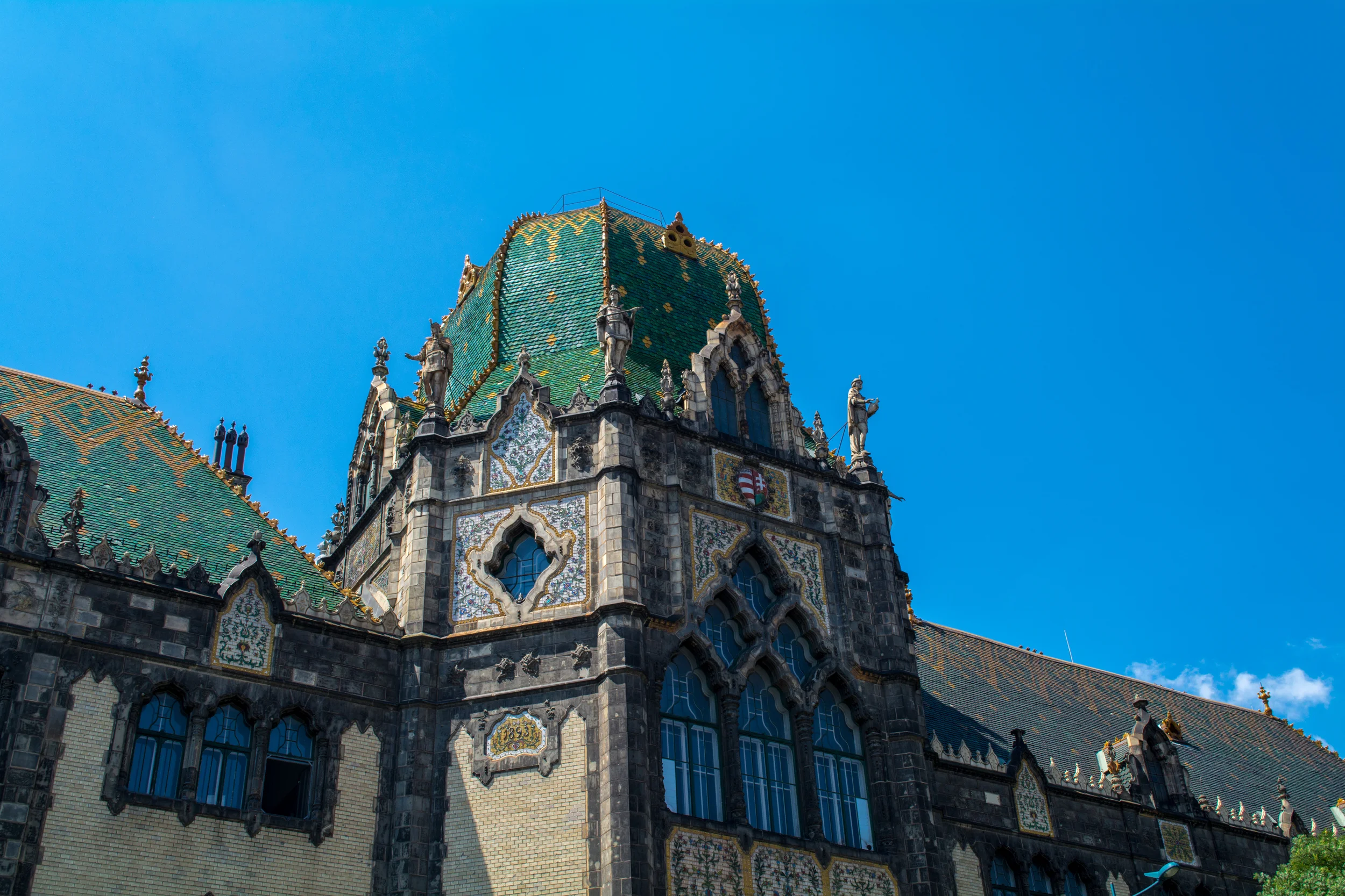 DSC_0055.jpg