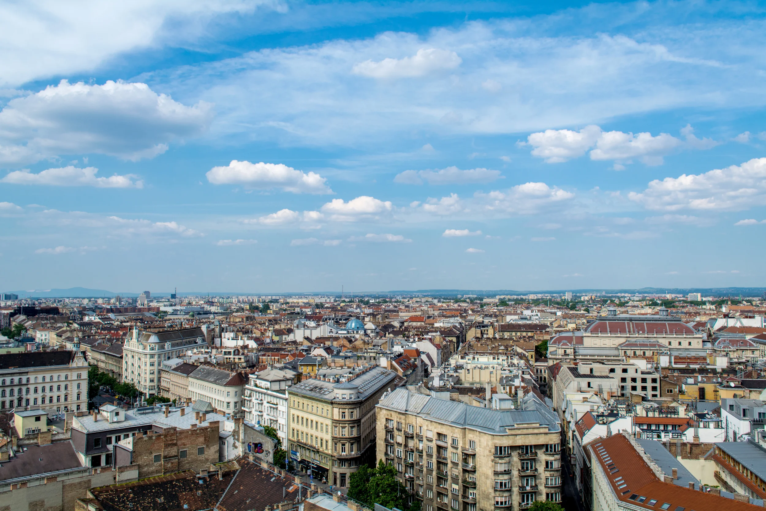 DSC_0232.jpg