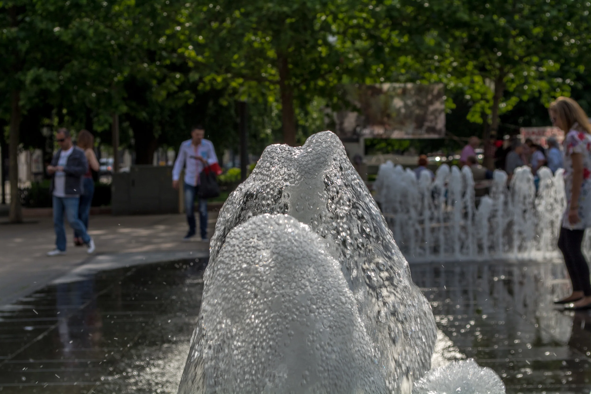 DSC_0266.jpg