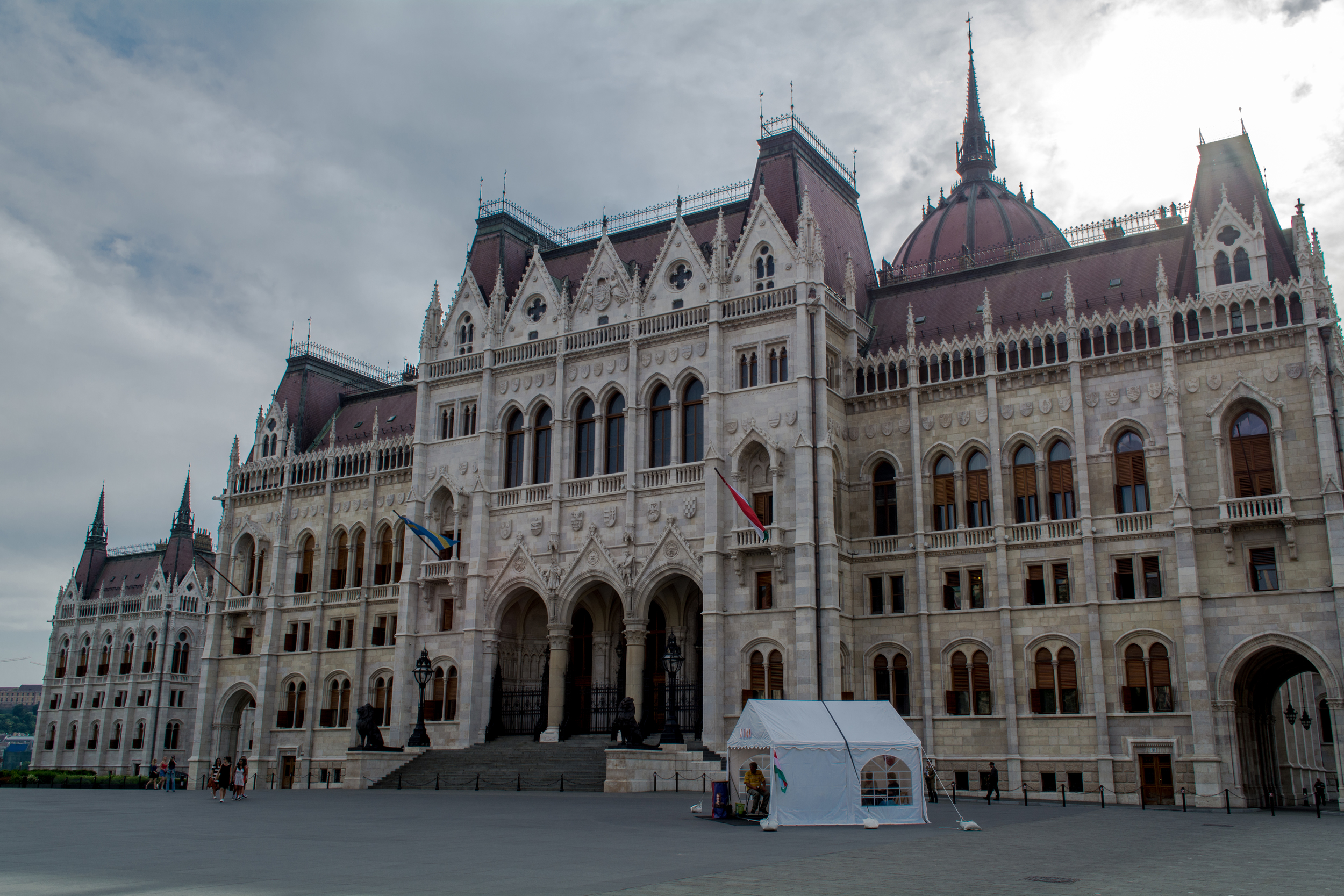 DSC_0308.jpg