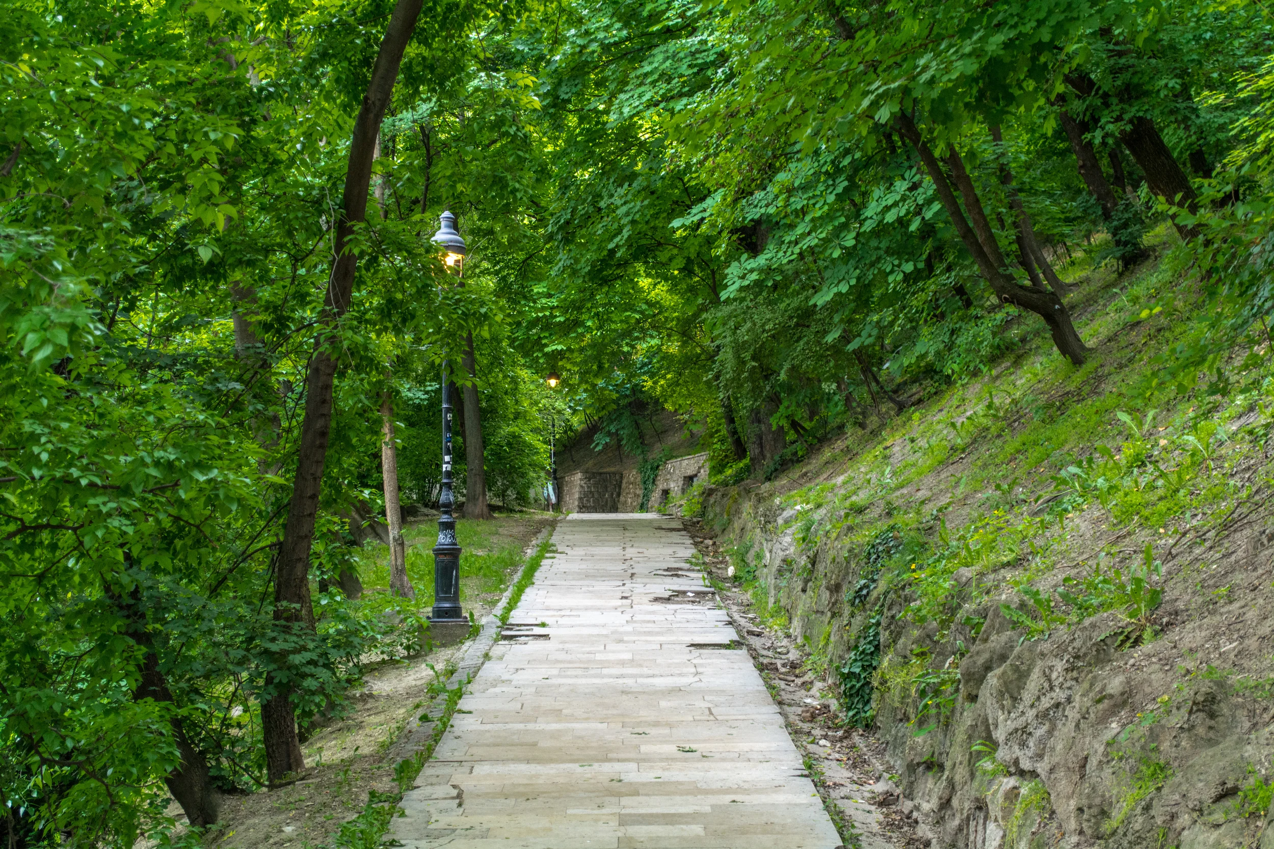 DSC_0460.jpg