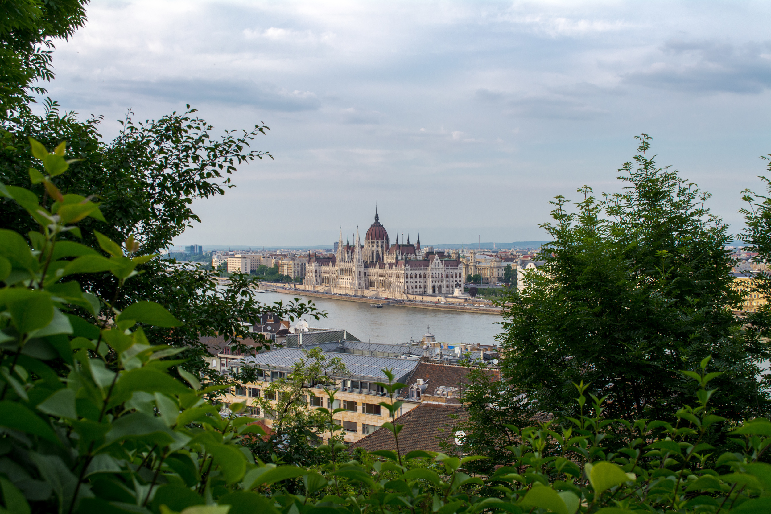 DSC_0475.jpg