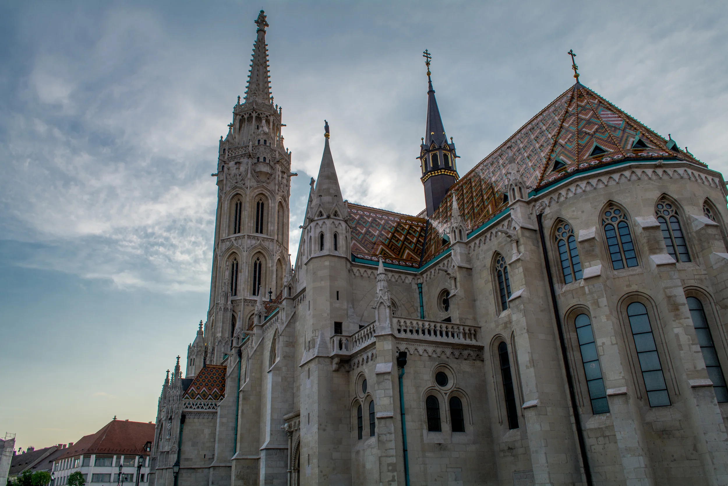 DSC_0548.jpg