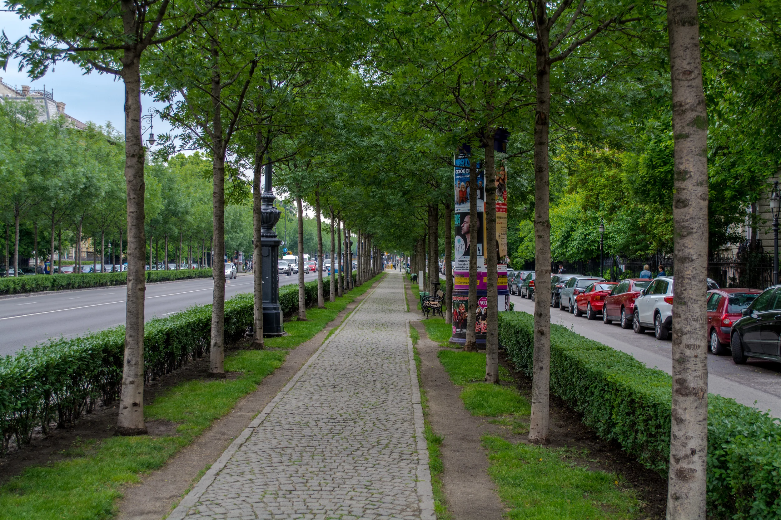 DSC_0661.jpg