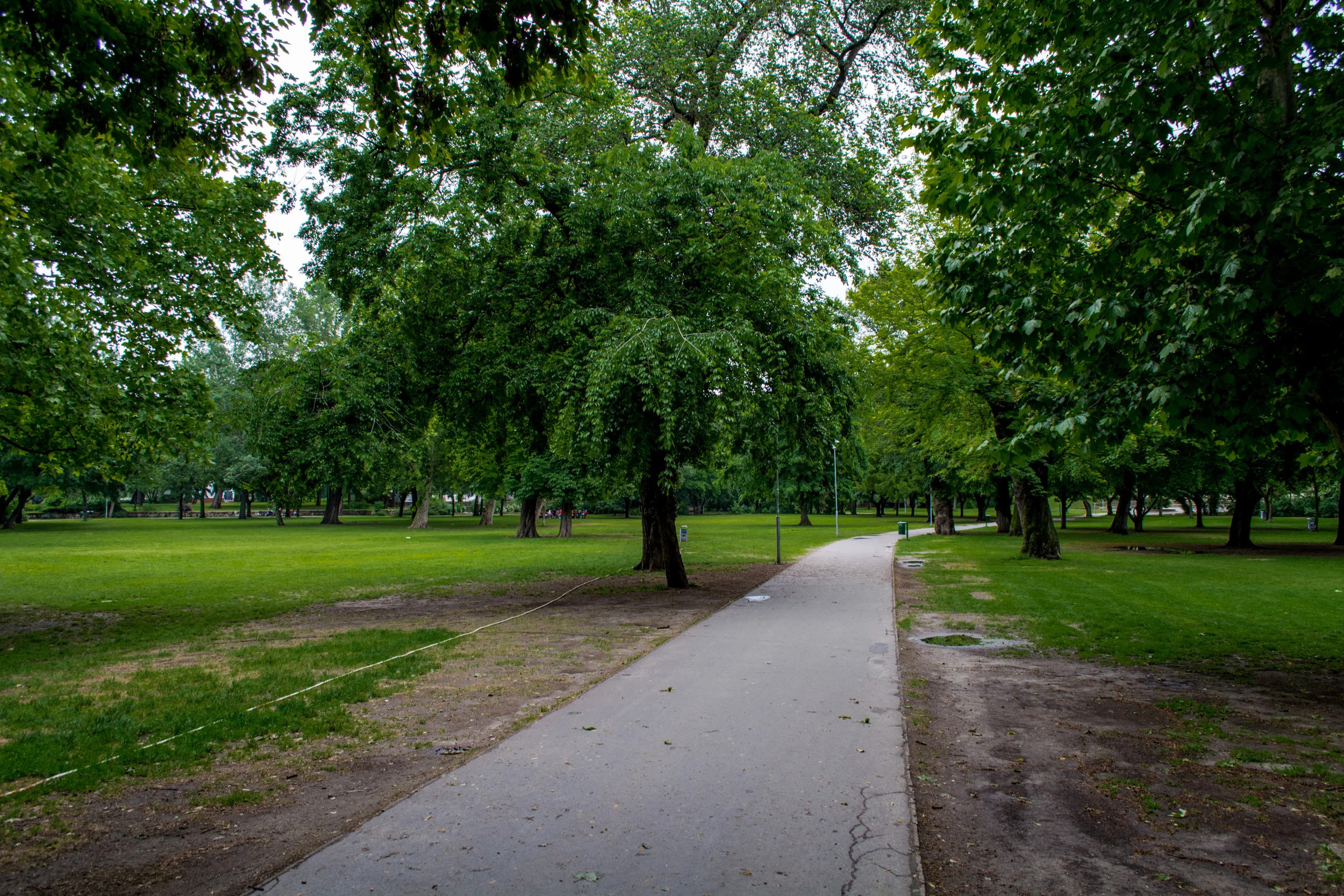 DSC_0691.jpg