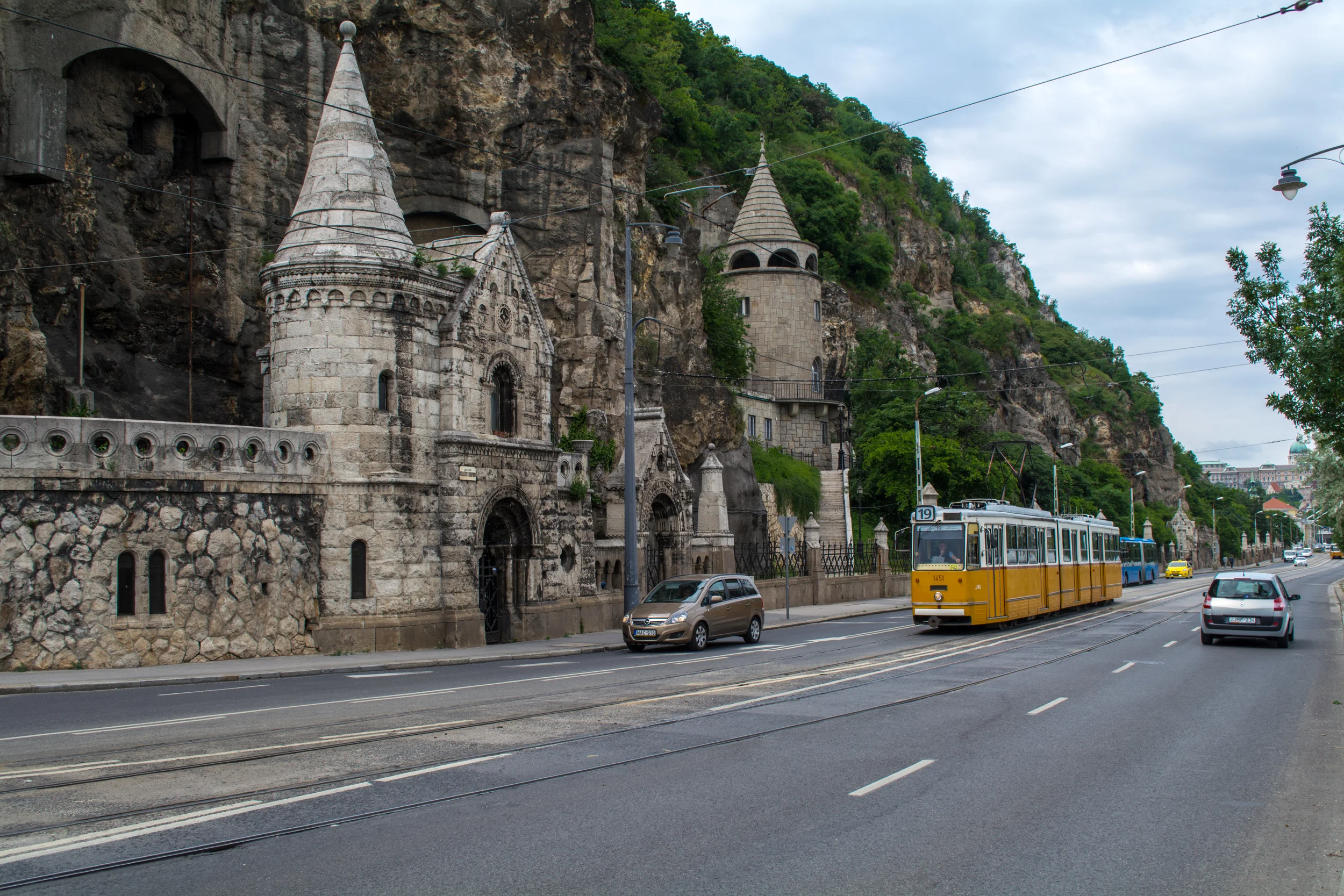 DSC_0736.jpg