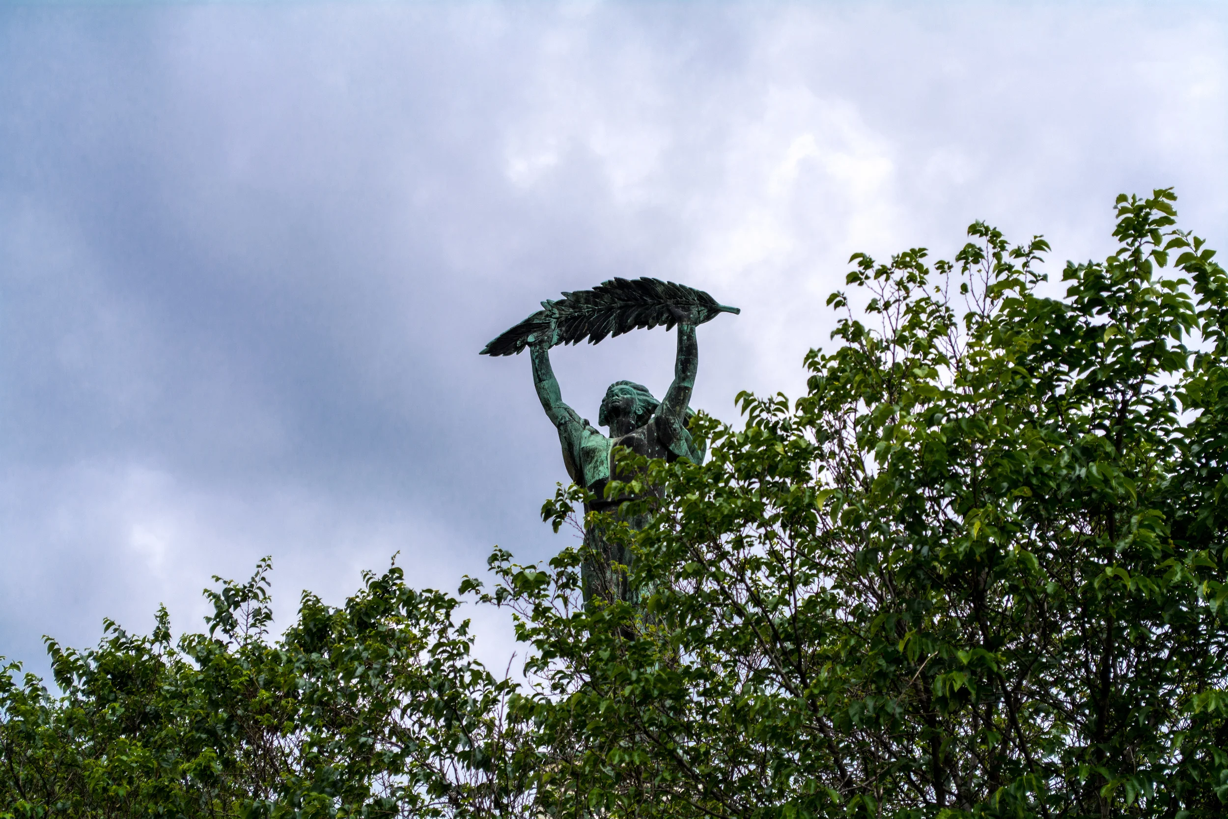 DSC_0757.jpg
