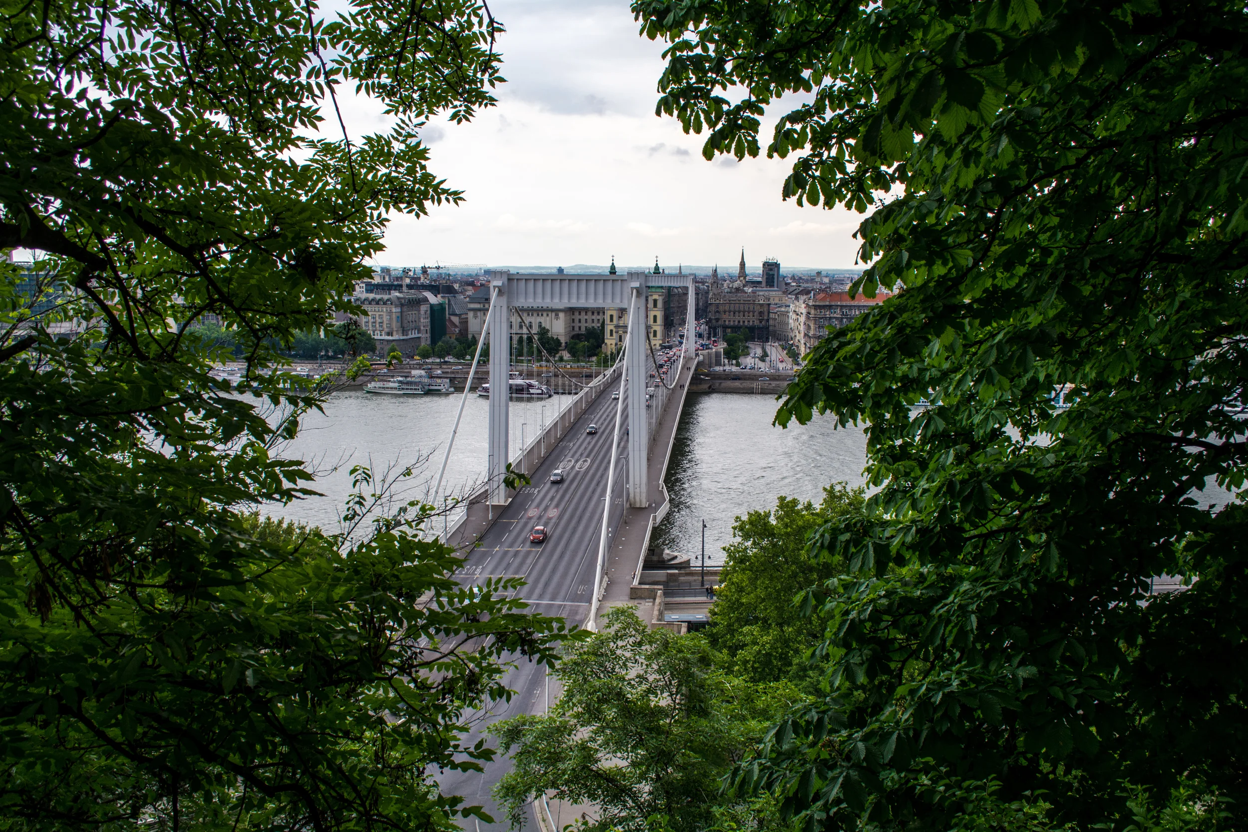 DSC_0775.jpg