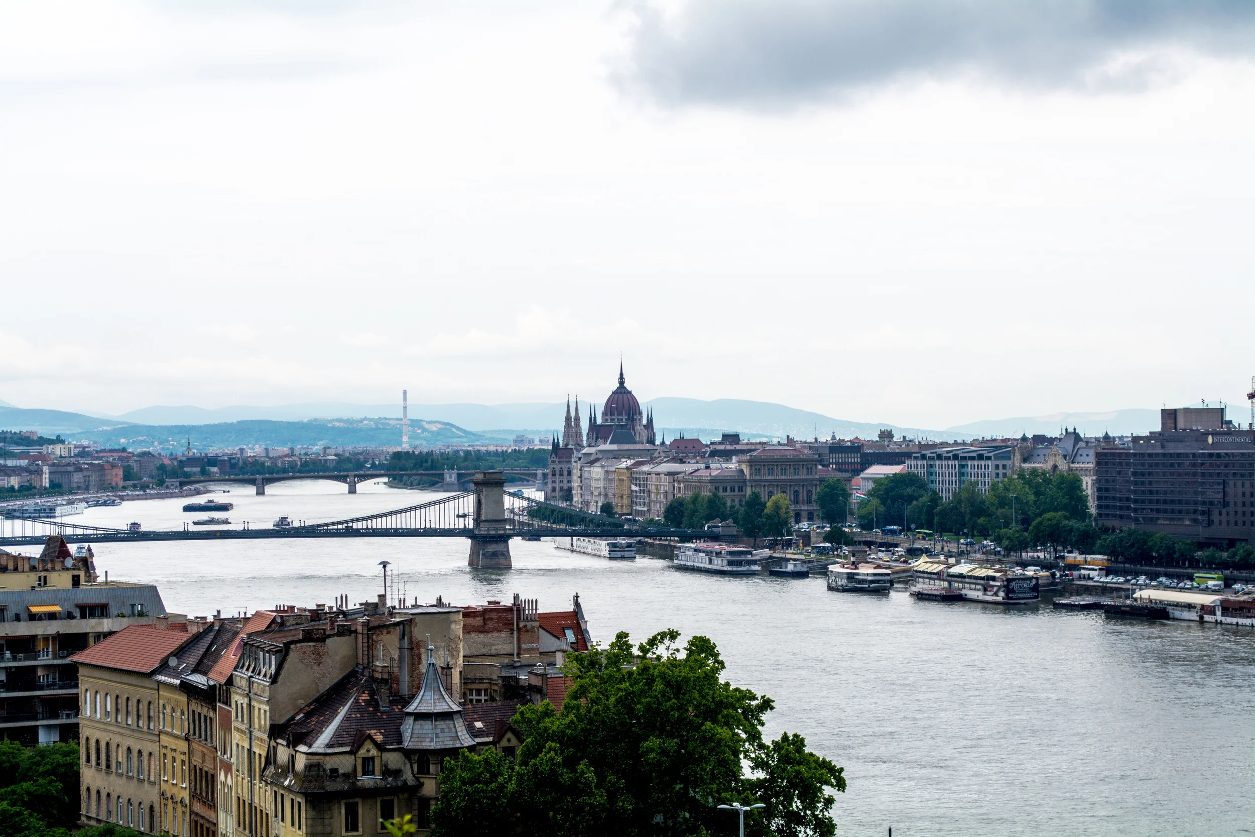 DSC_0782.jpg