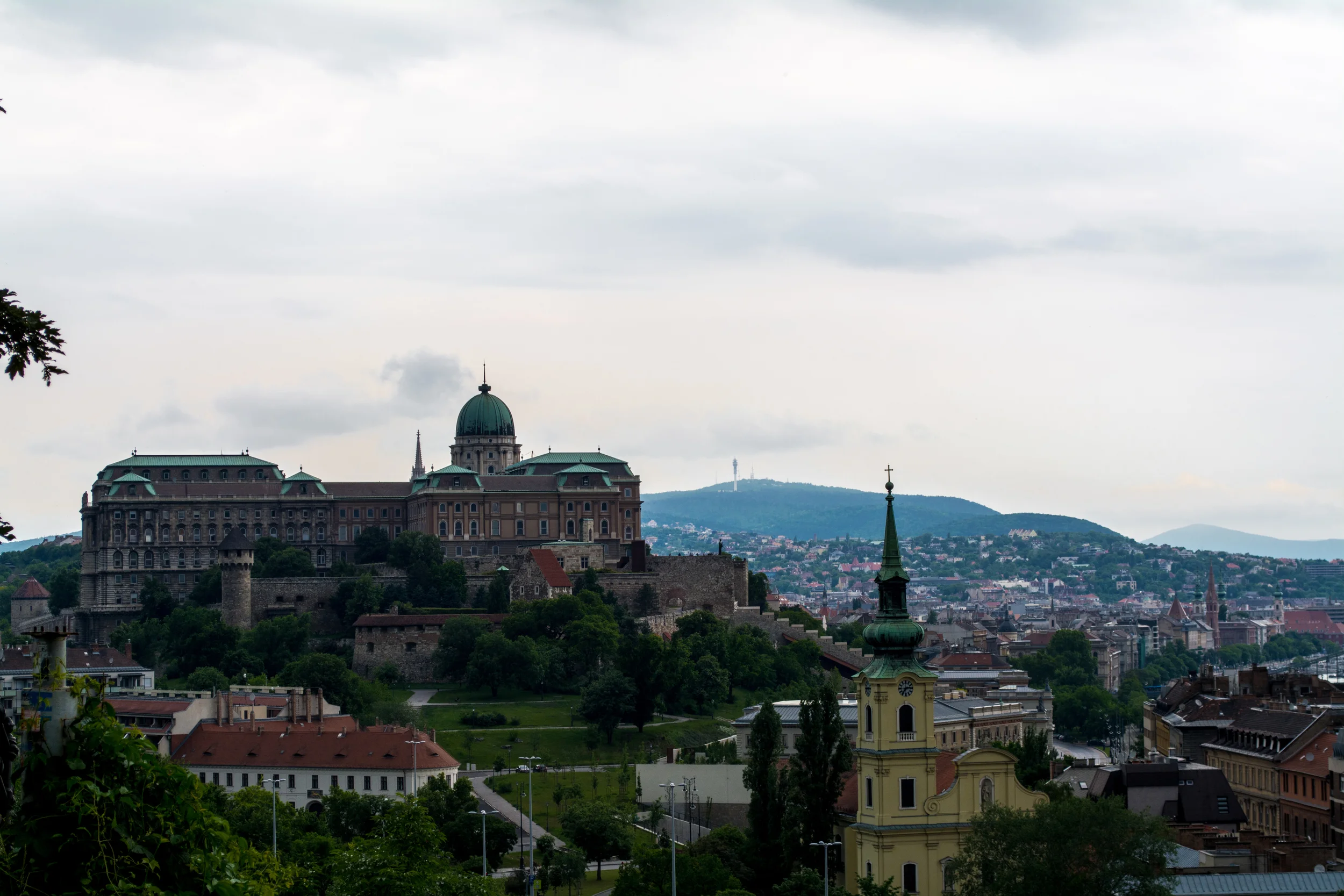 DSC_0783.jpg