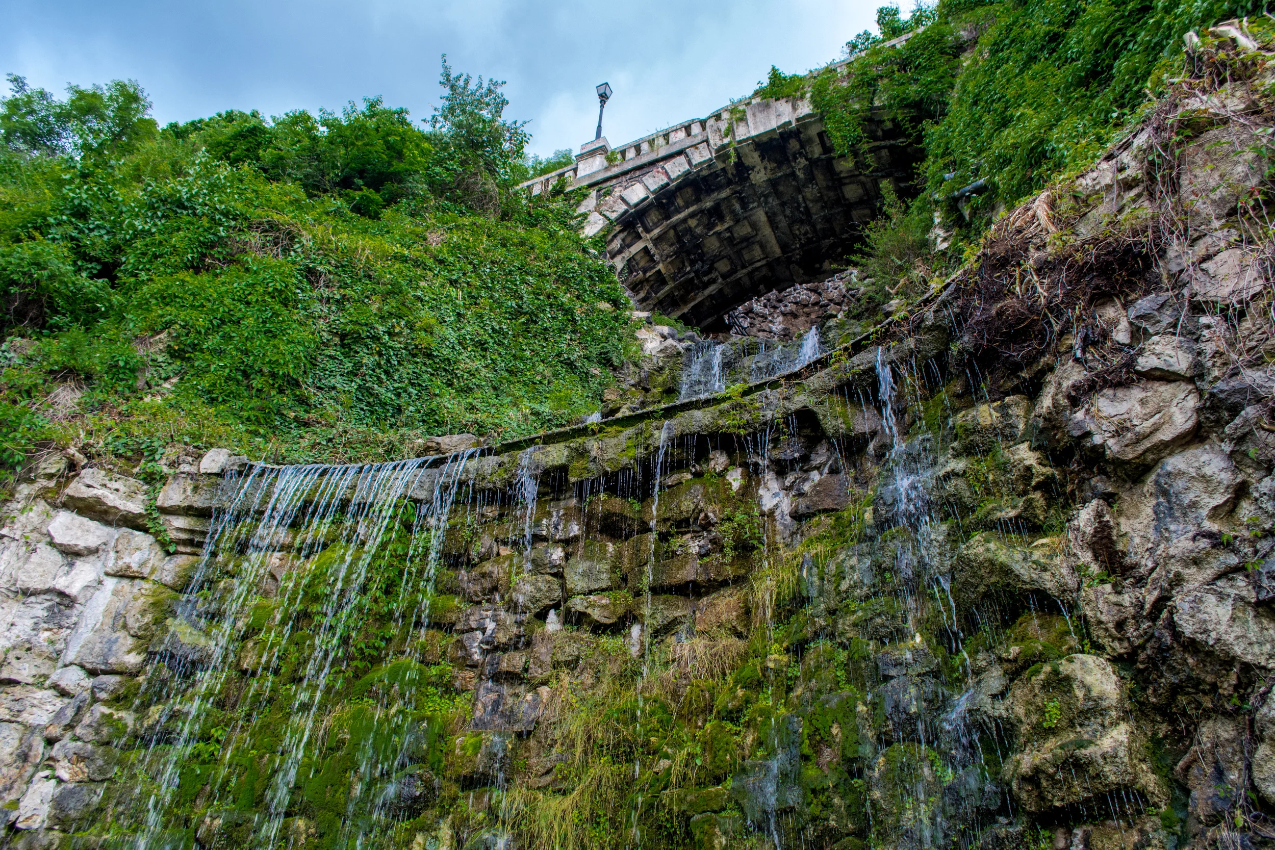 DSC_0785.jpg