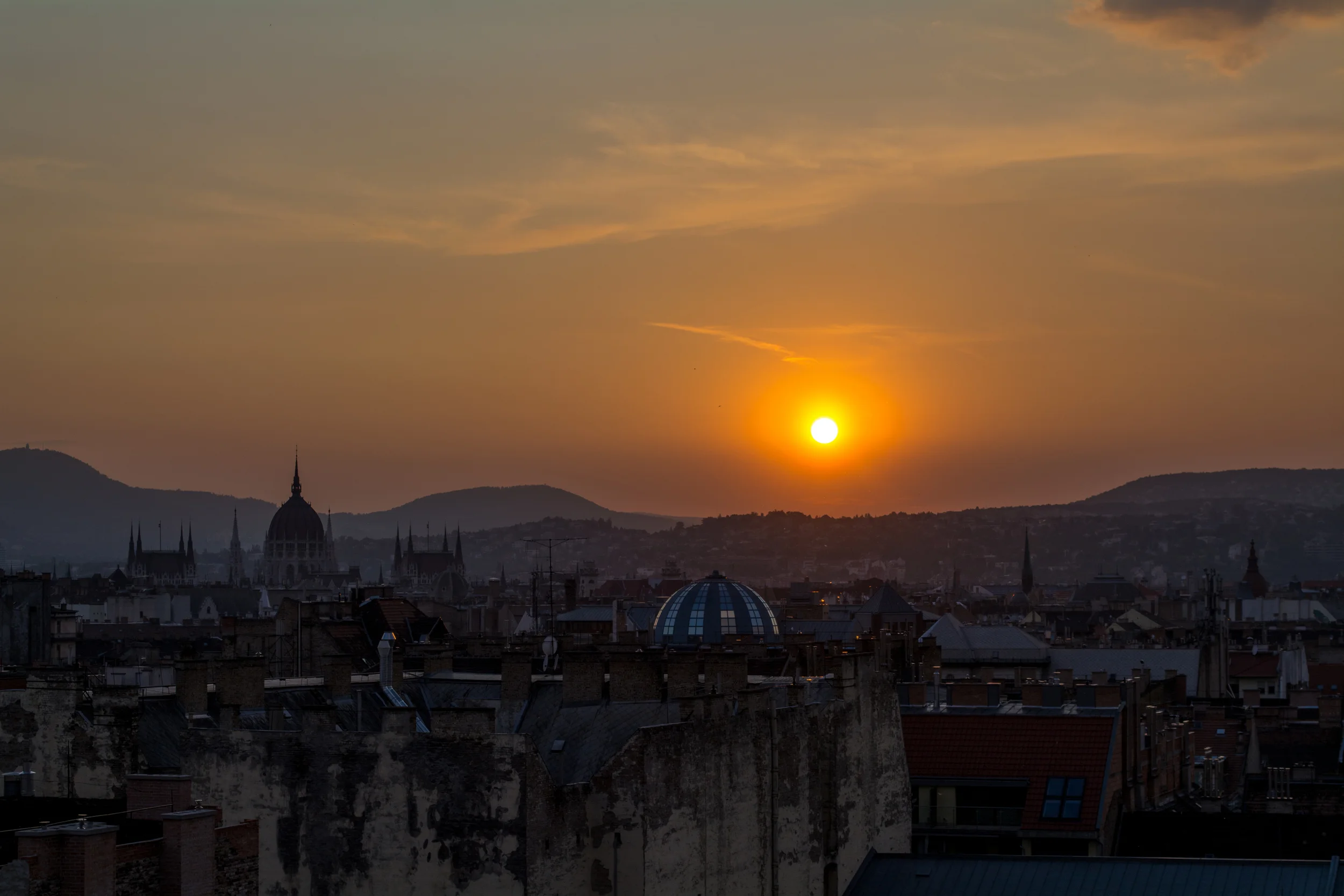 DSC_0050.jpg