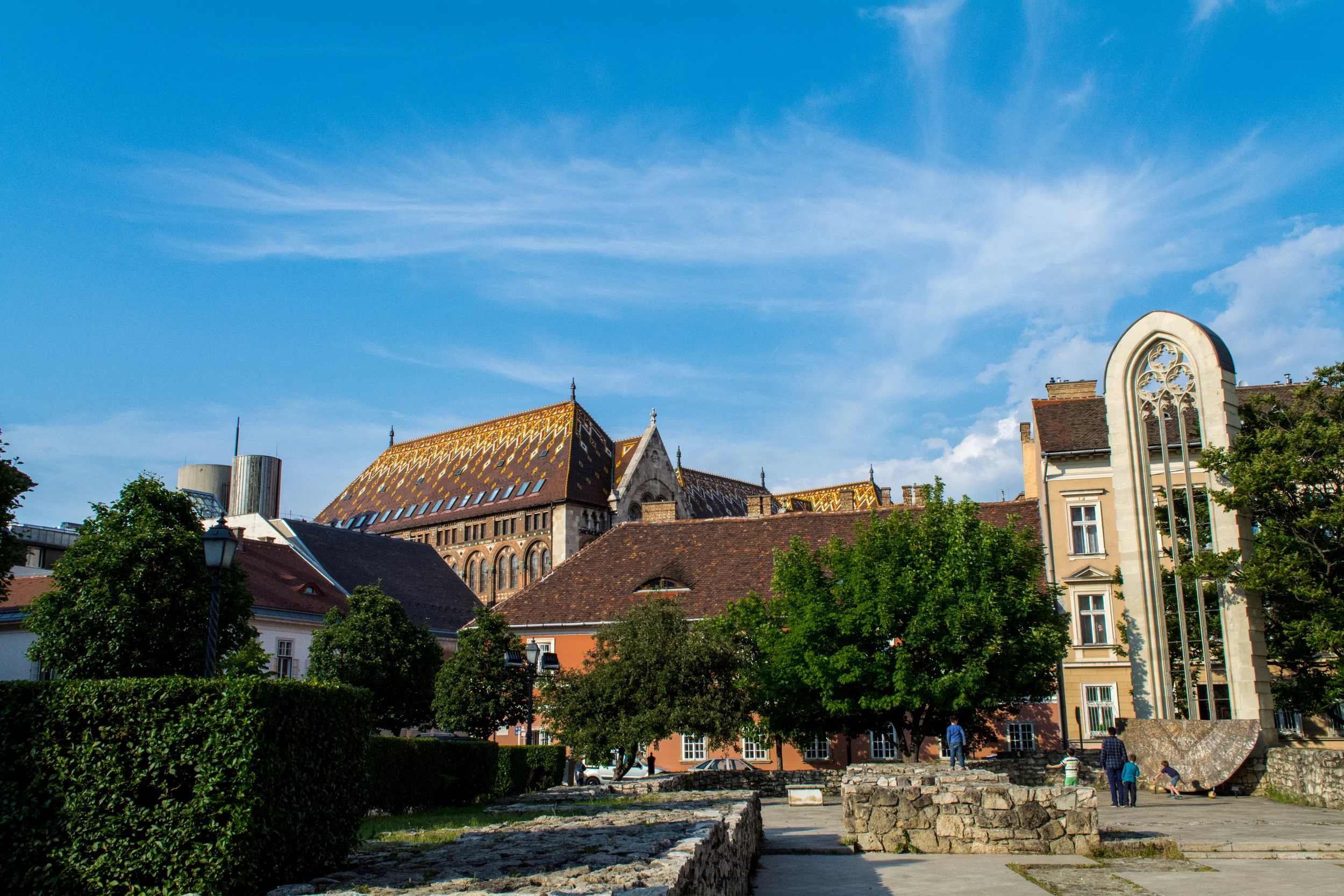 DSC_1004.jpg