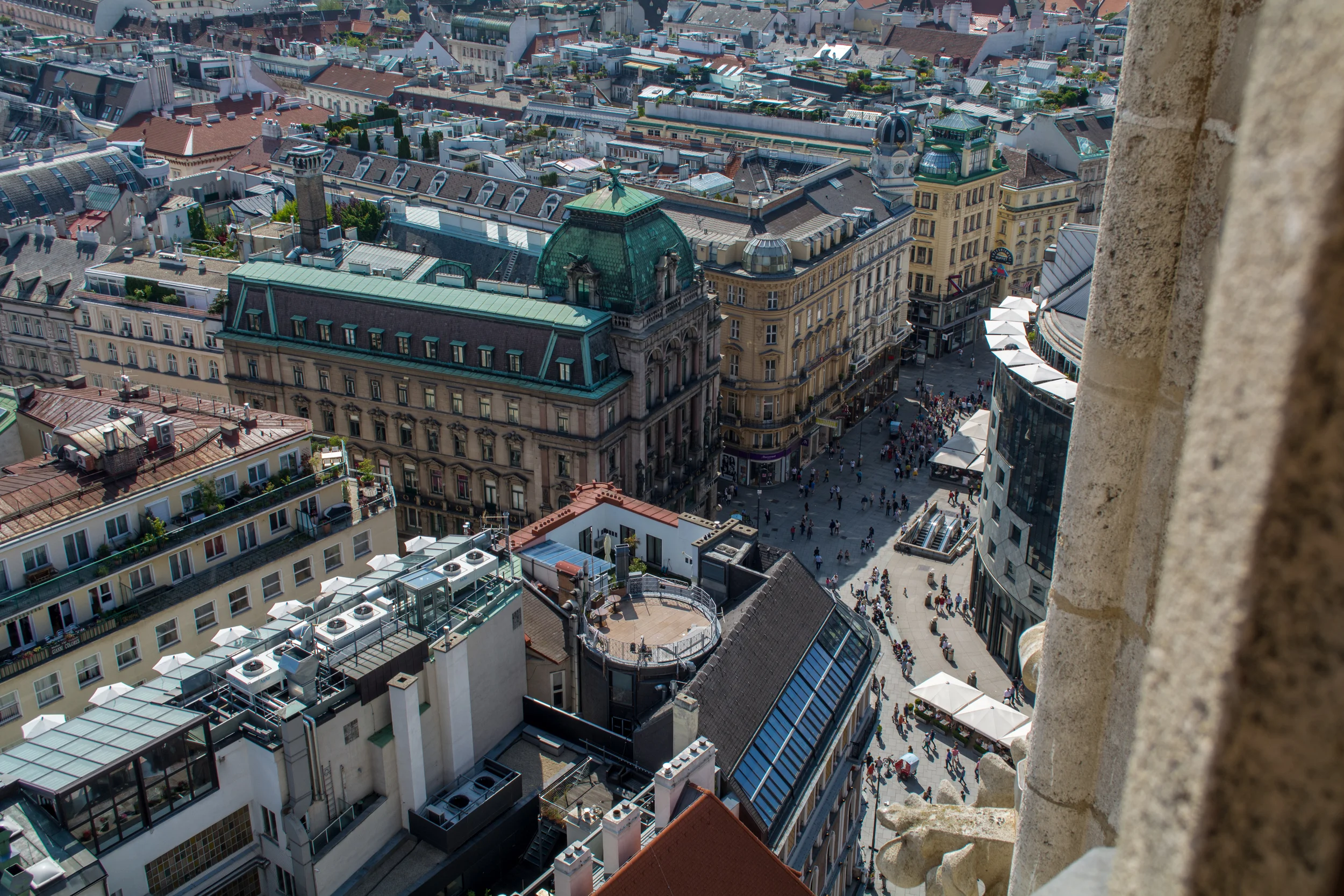 DSC_0249.jpg