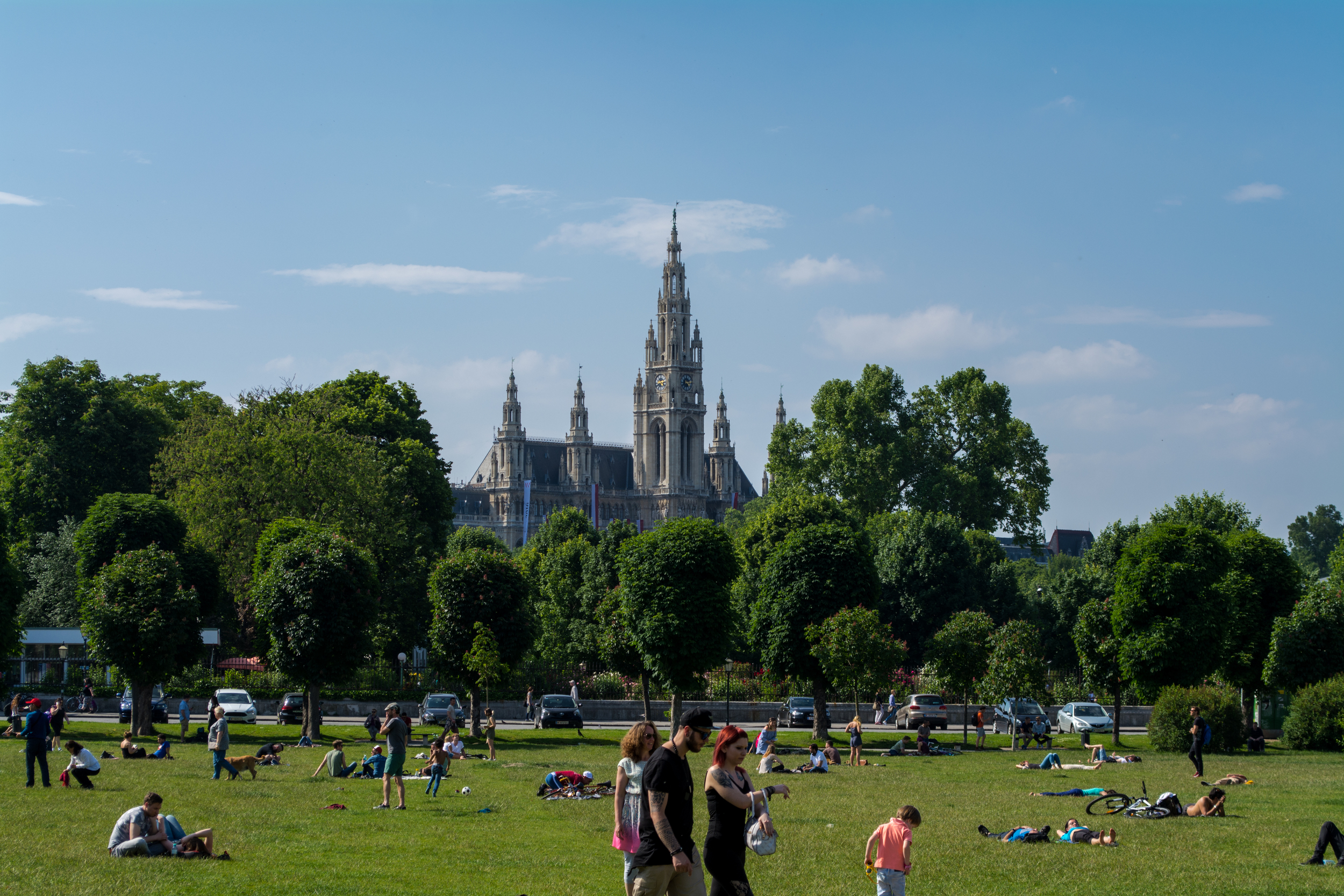 DSC_0331.jpg