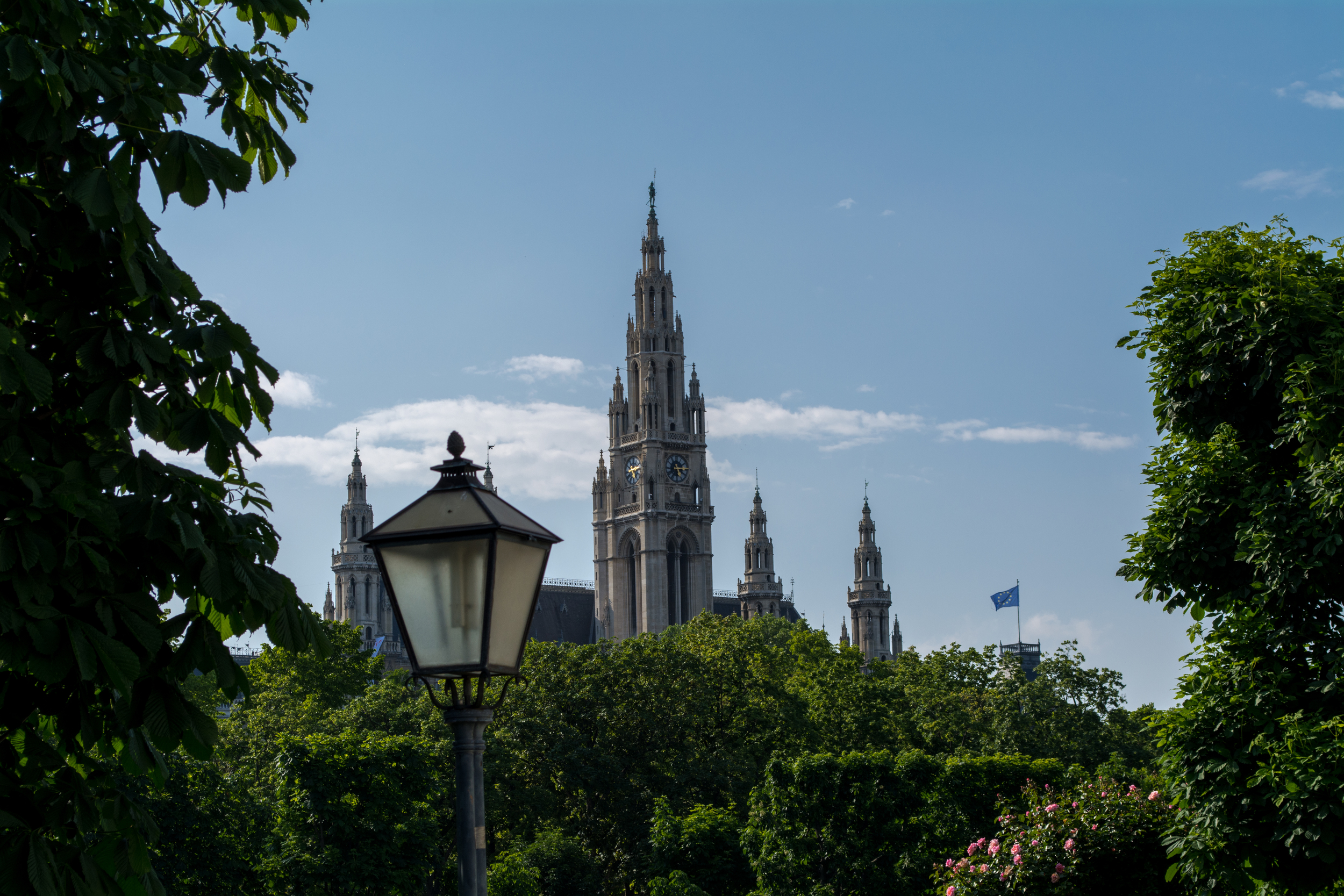 DSC_0388.jpg