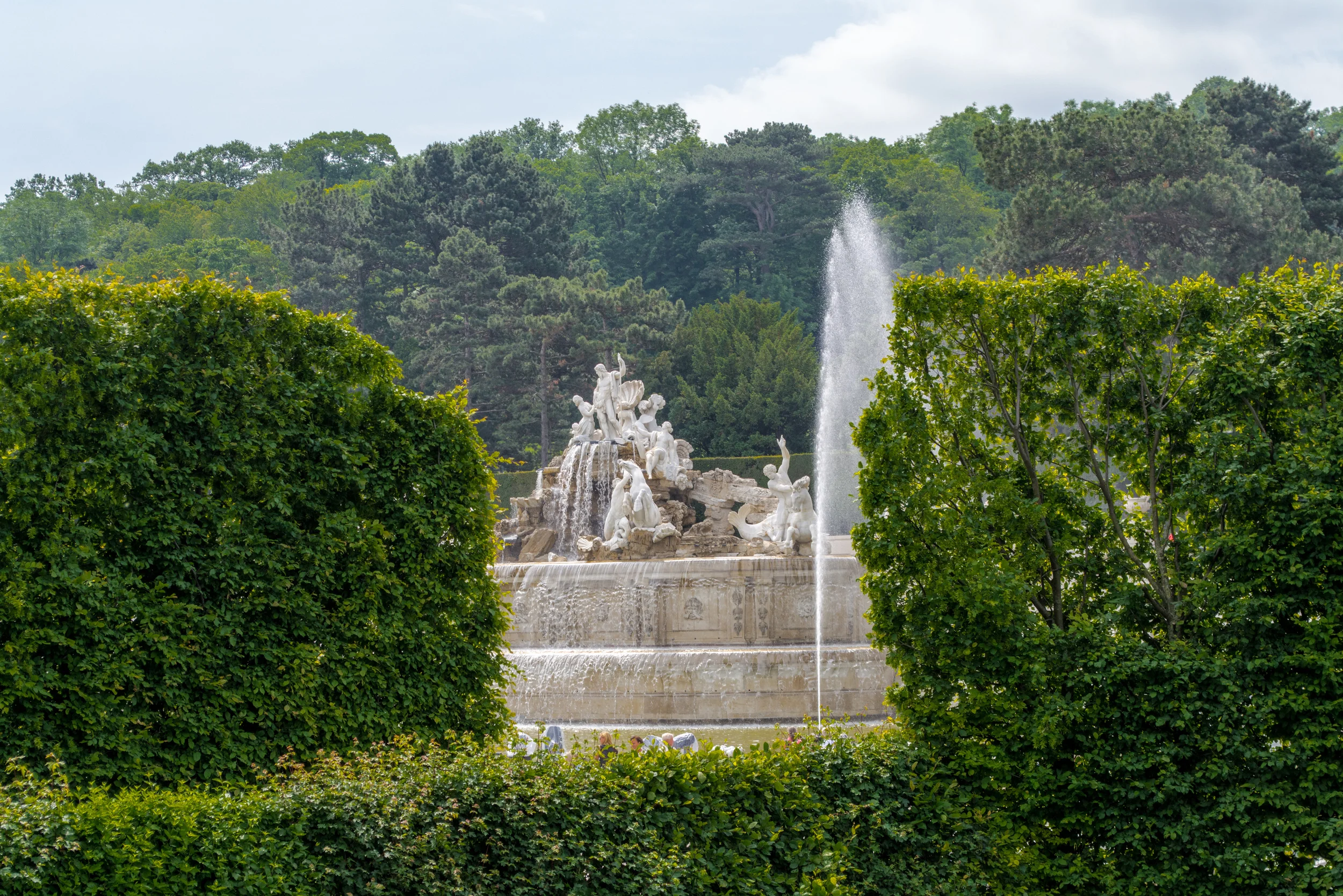 DSC_0563.jpg